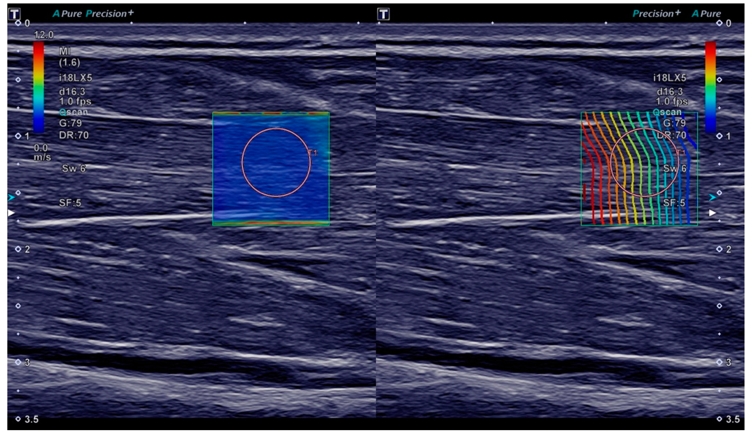 Diagnostics 11 00163 g001