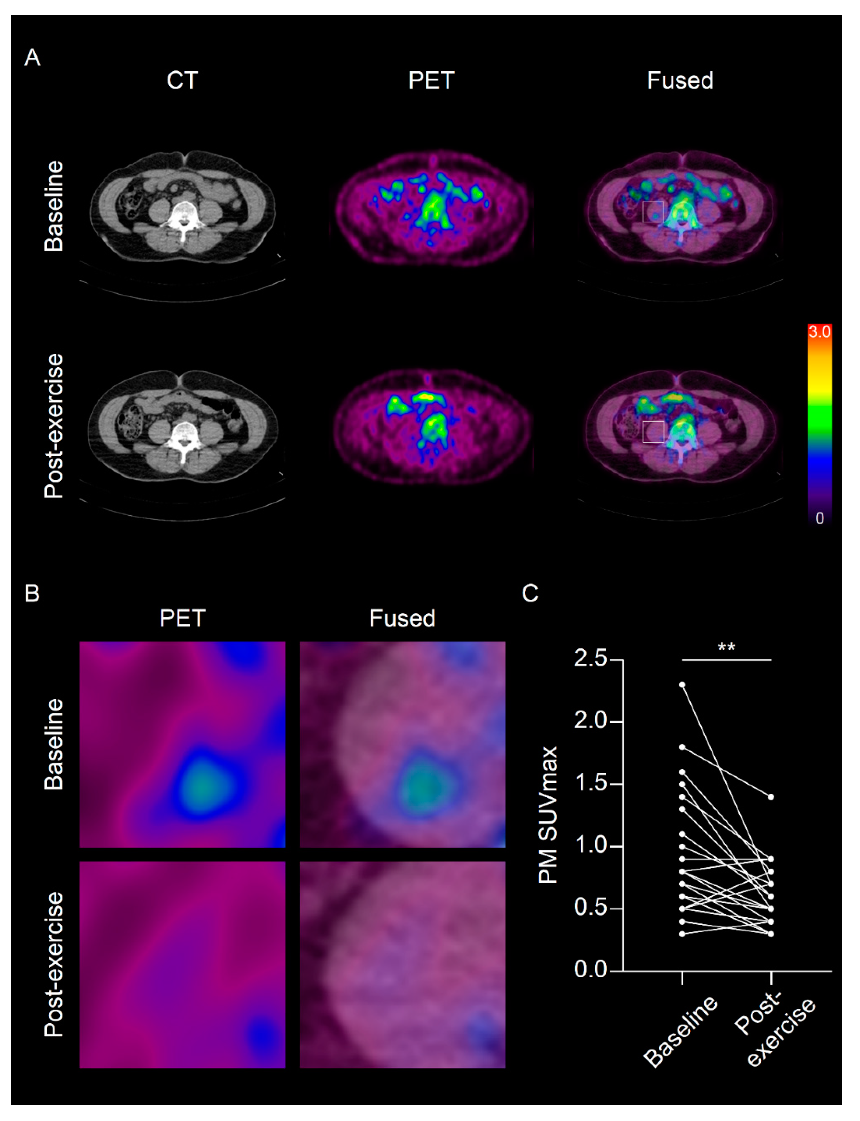 Diagnostics 11 00164 g002 Diagnostics 11 00164 g002