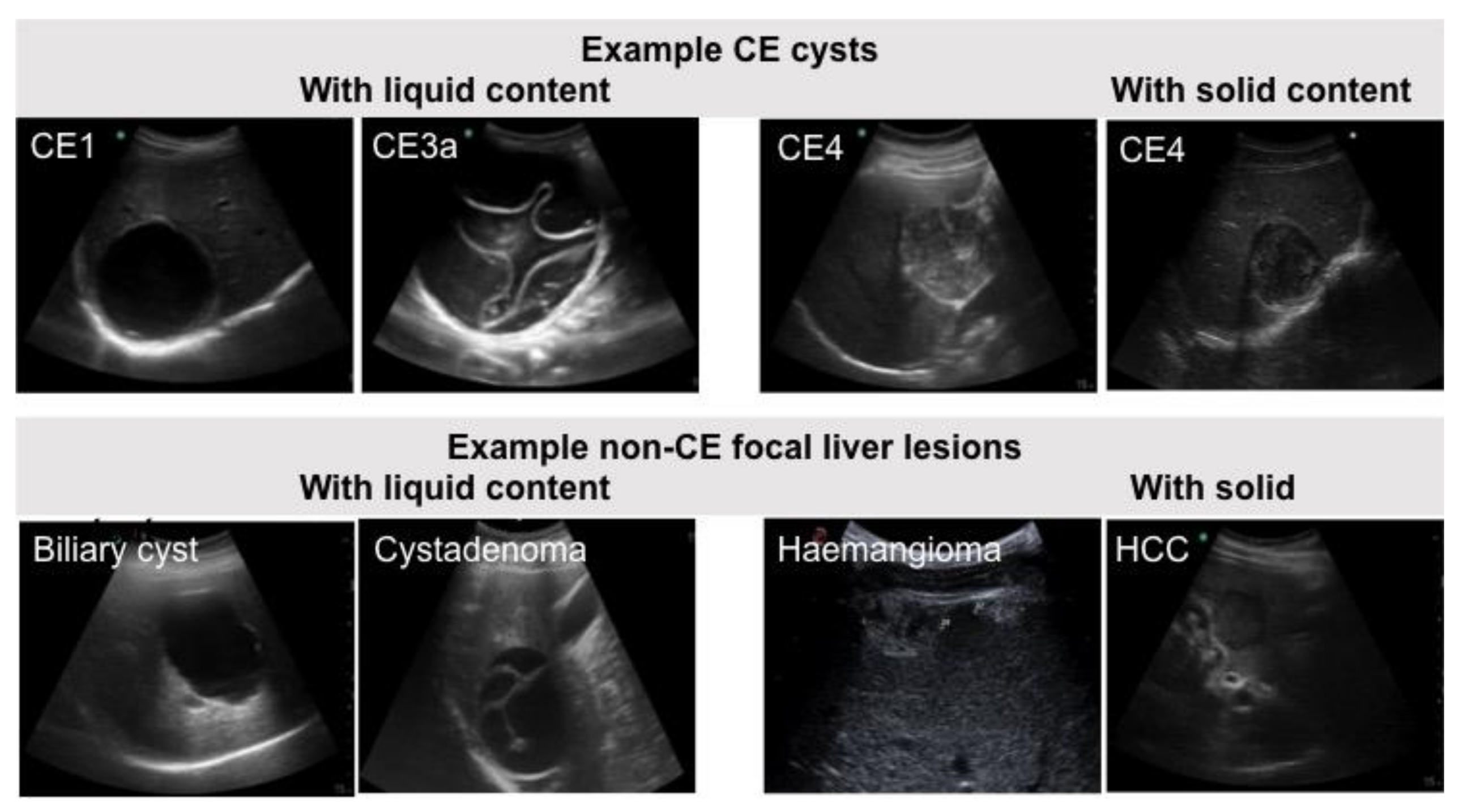 Diagnostics 11 00167 g001 Diagnostics 11 00167 g001