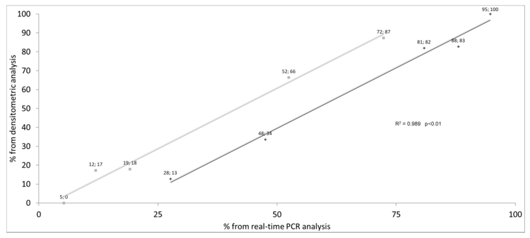 Diagnostics 11 00168 g004