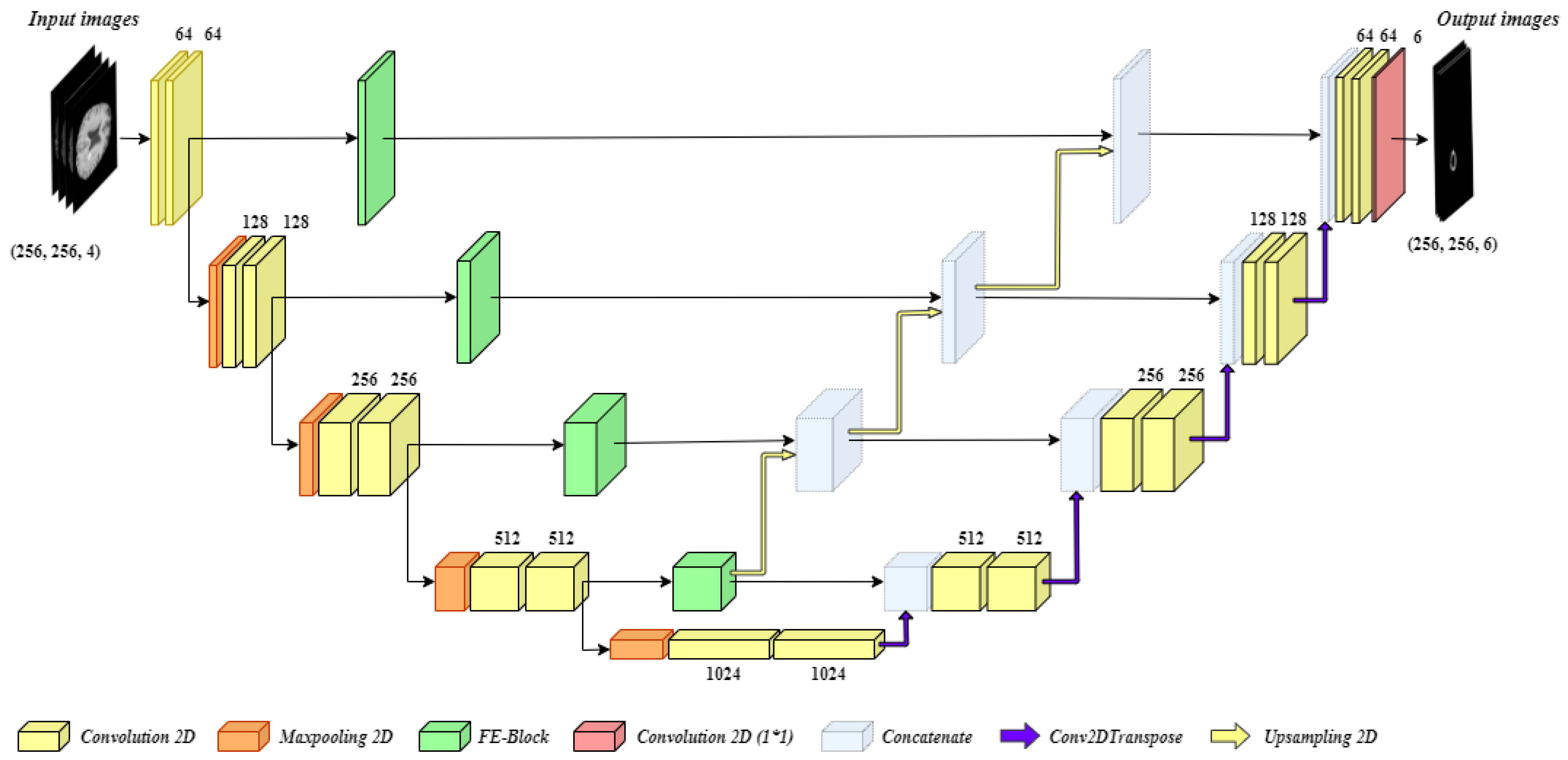 Diagnostics 11 00169 g002