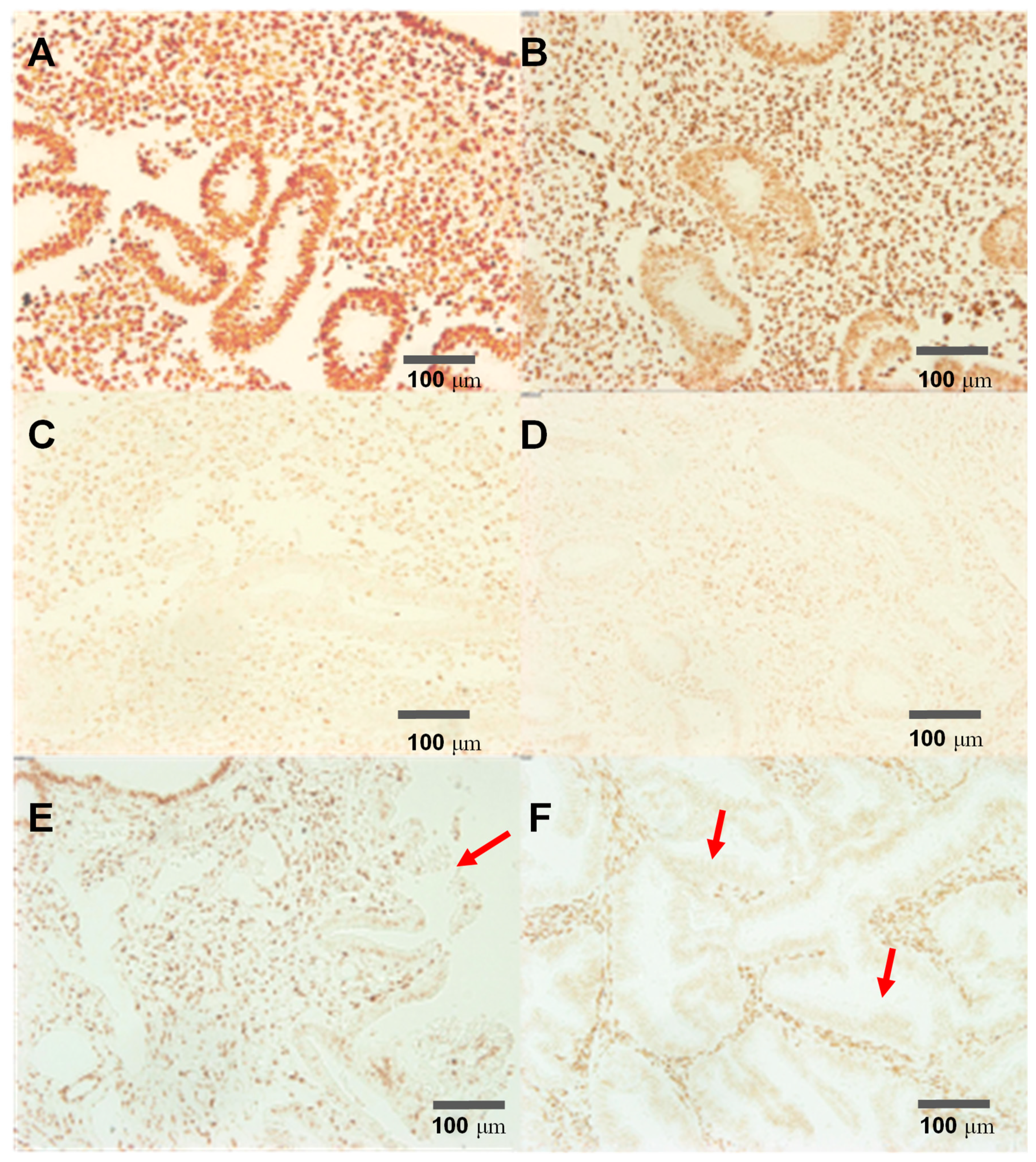 Diagnostics 11 00171 g002