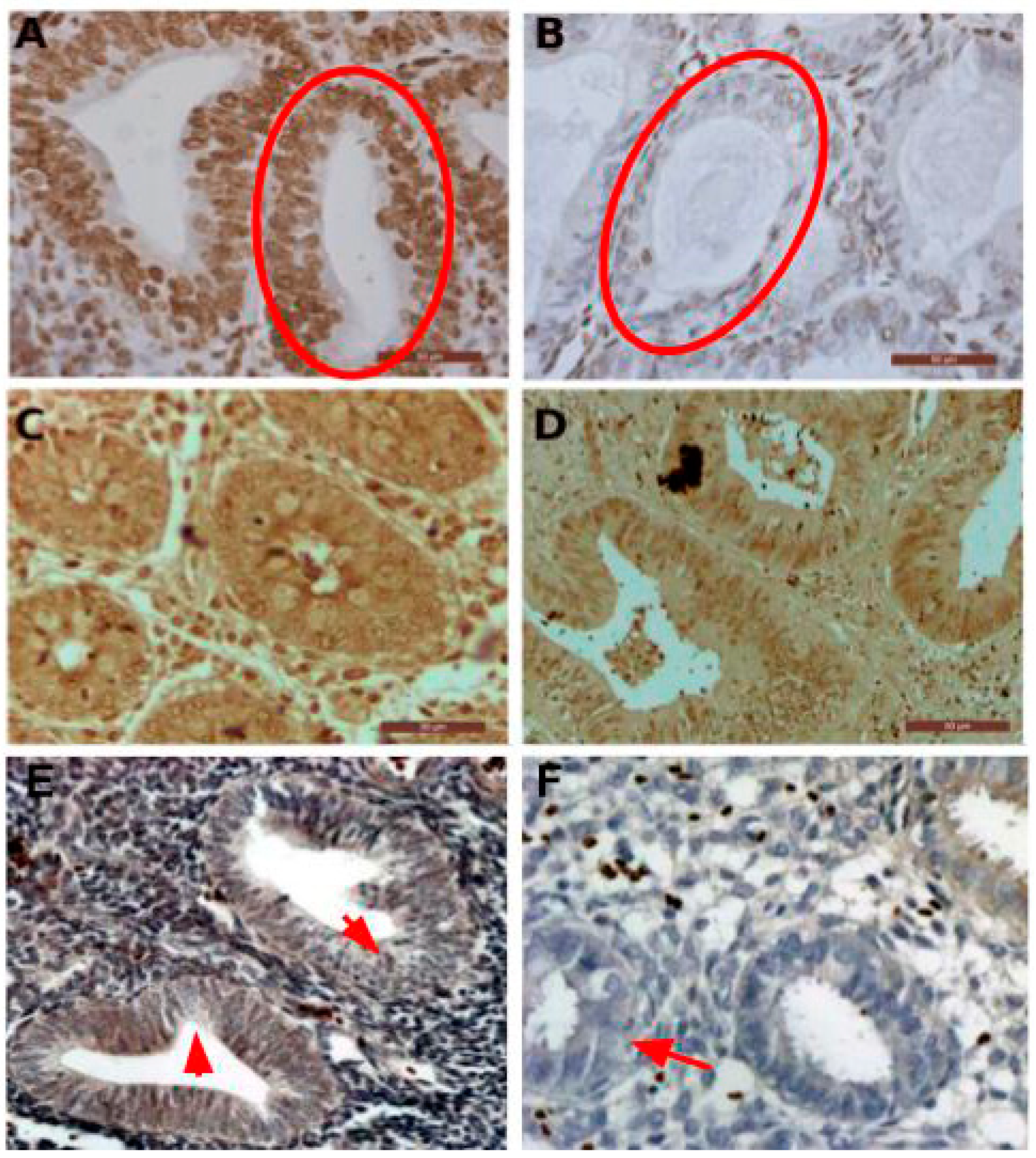 Diagnostics 11 00171 g004