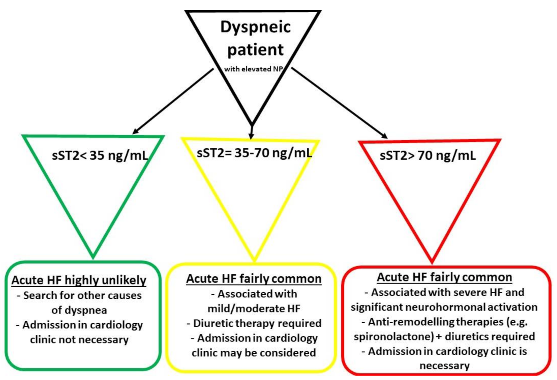 Diagnostics 11 00175 g001 Diagnostics 11 00175 g001