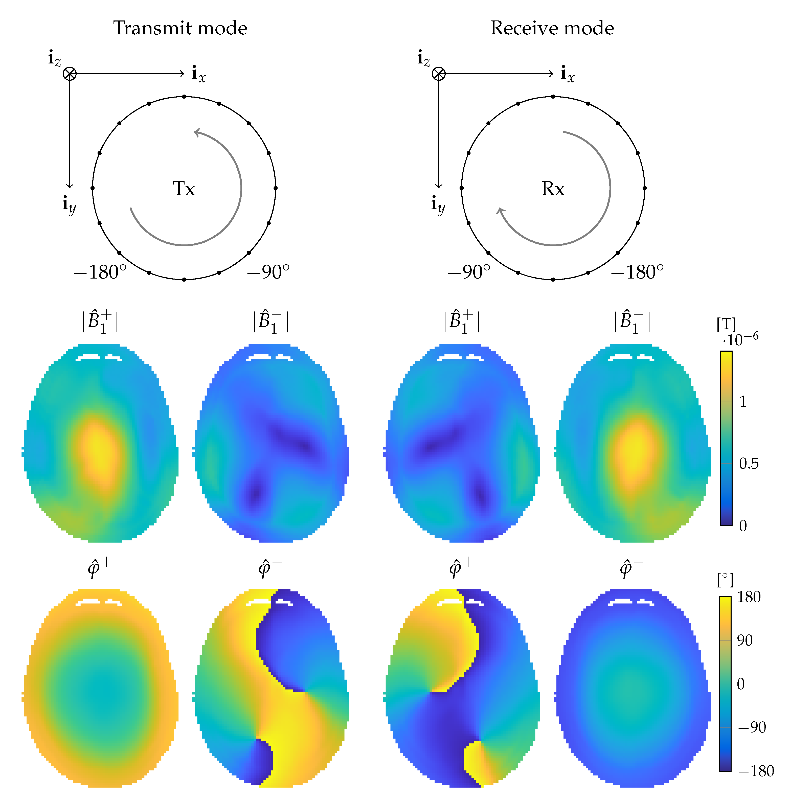 Diagnostics 11 00176 g001
