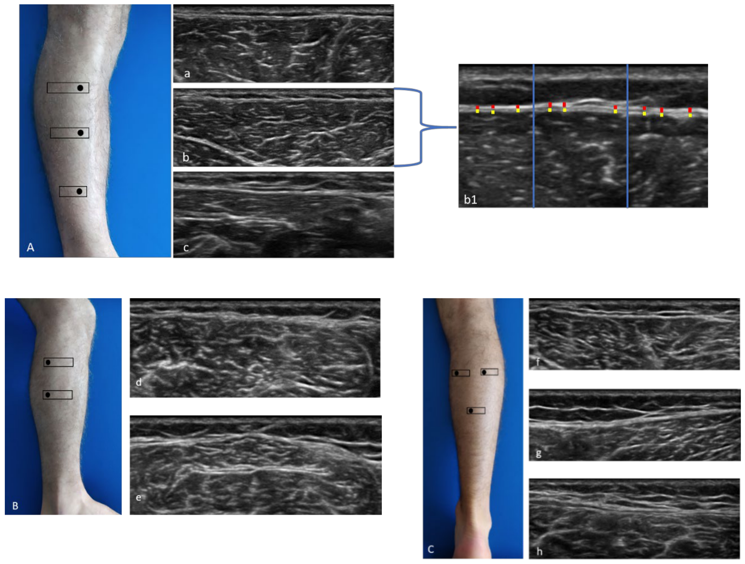 Diagnostics 11 00177 g001