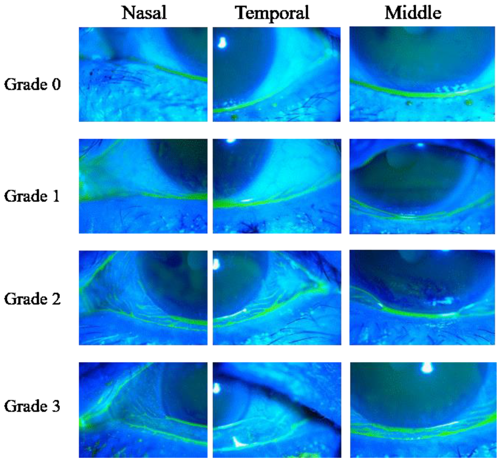 Diagnostics 11 00179 g001