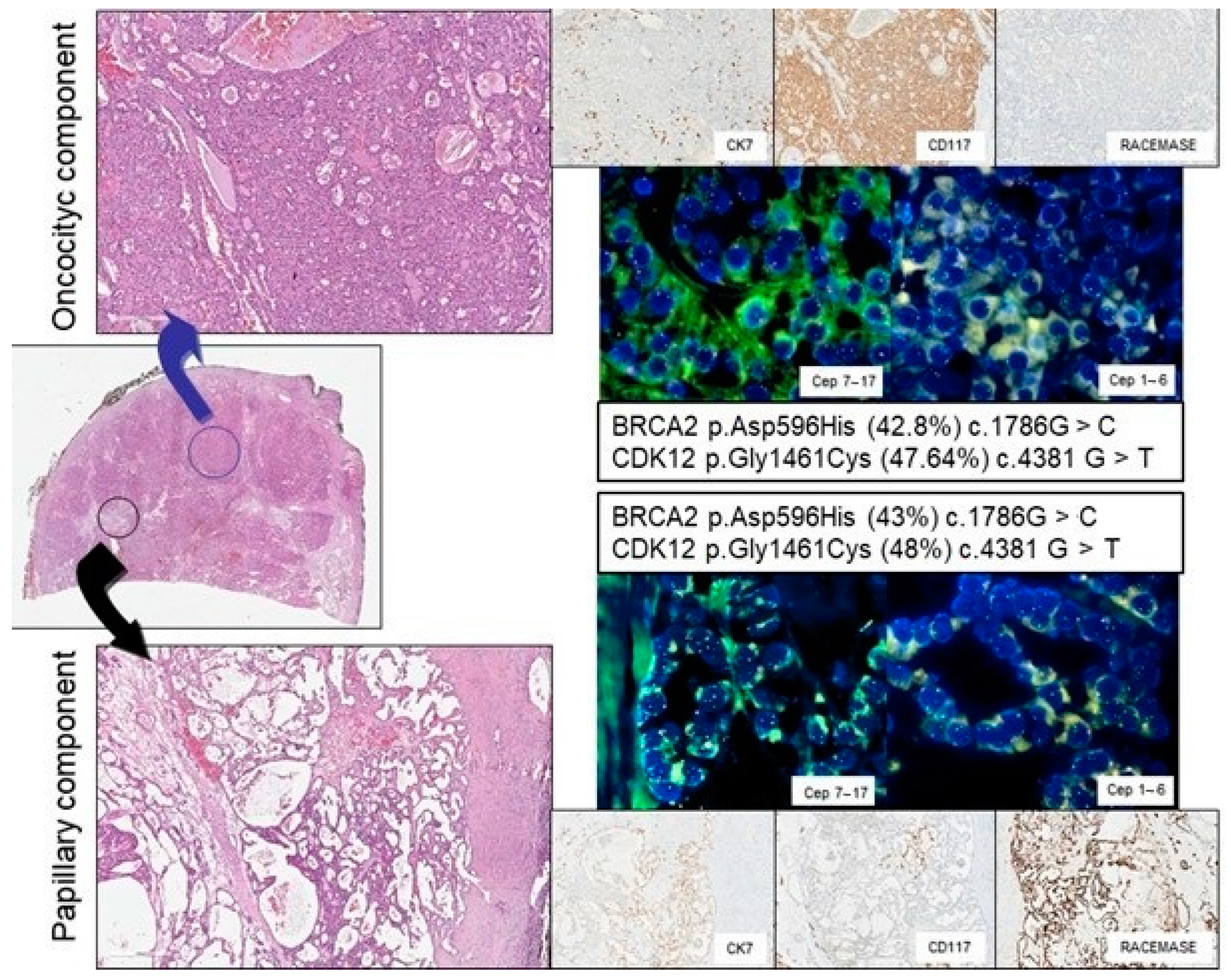 Diagnostics 11 00184 g001 Diagnostics 11 00184 g001