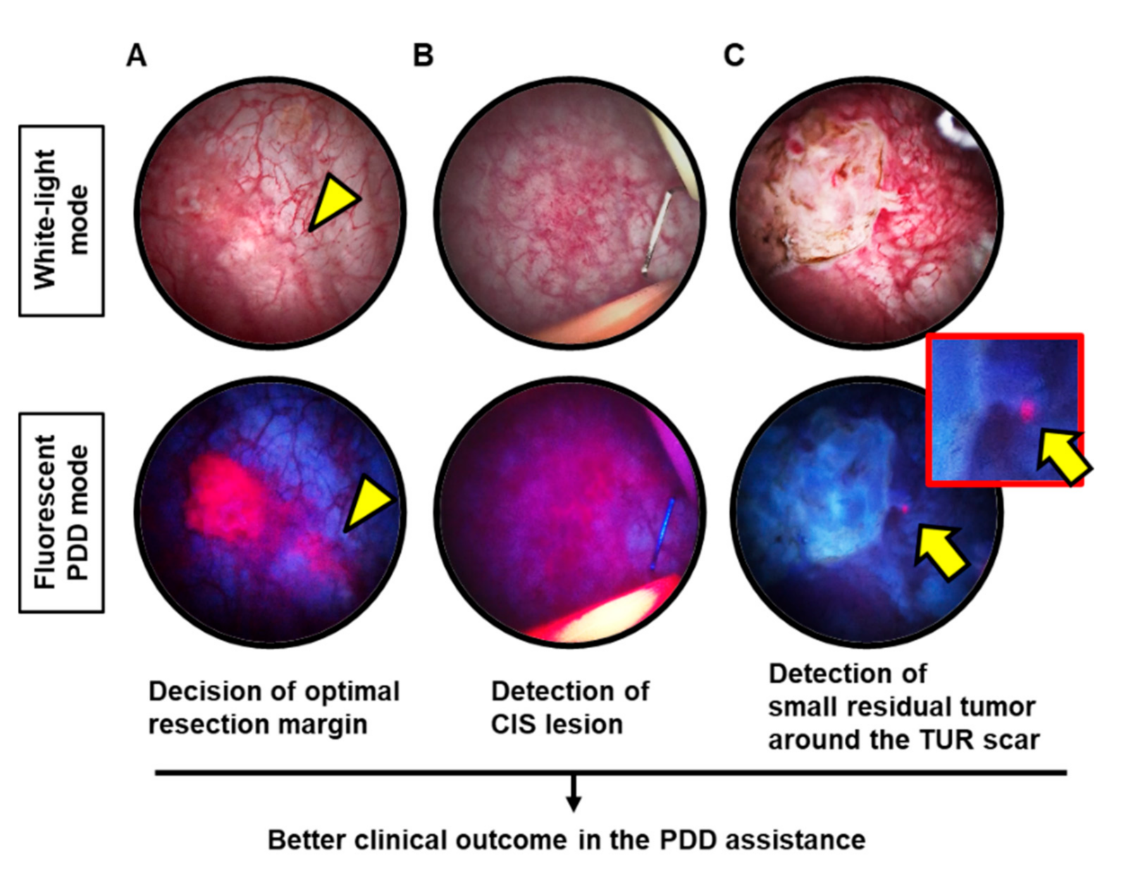 Diagnostics 11 00185 g001 Diagnostics 11 00185 g001