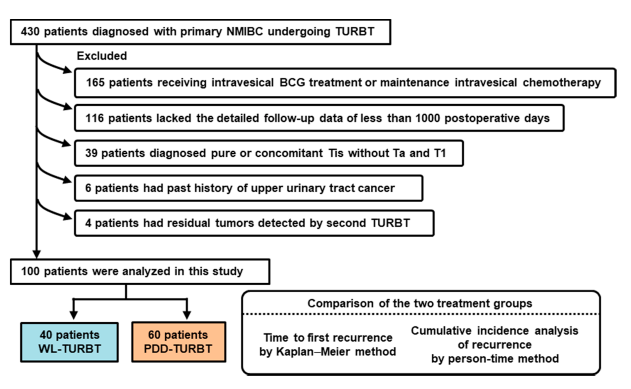 Diagnostics 11 00185 g002 Diagnostics 11 00185 g002
