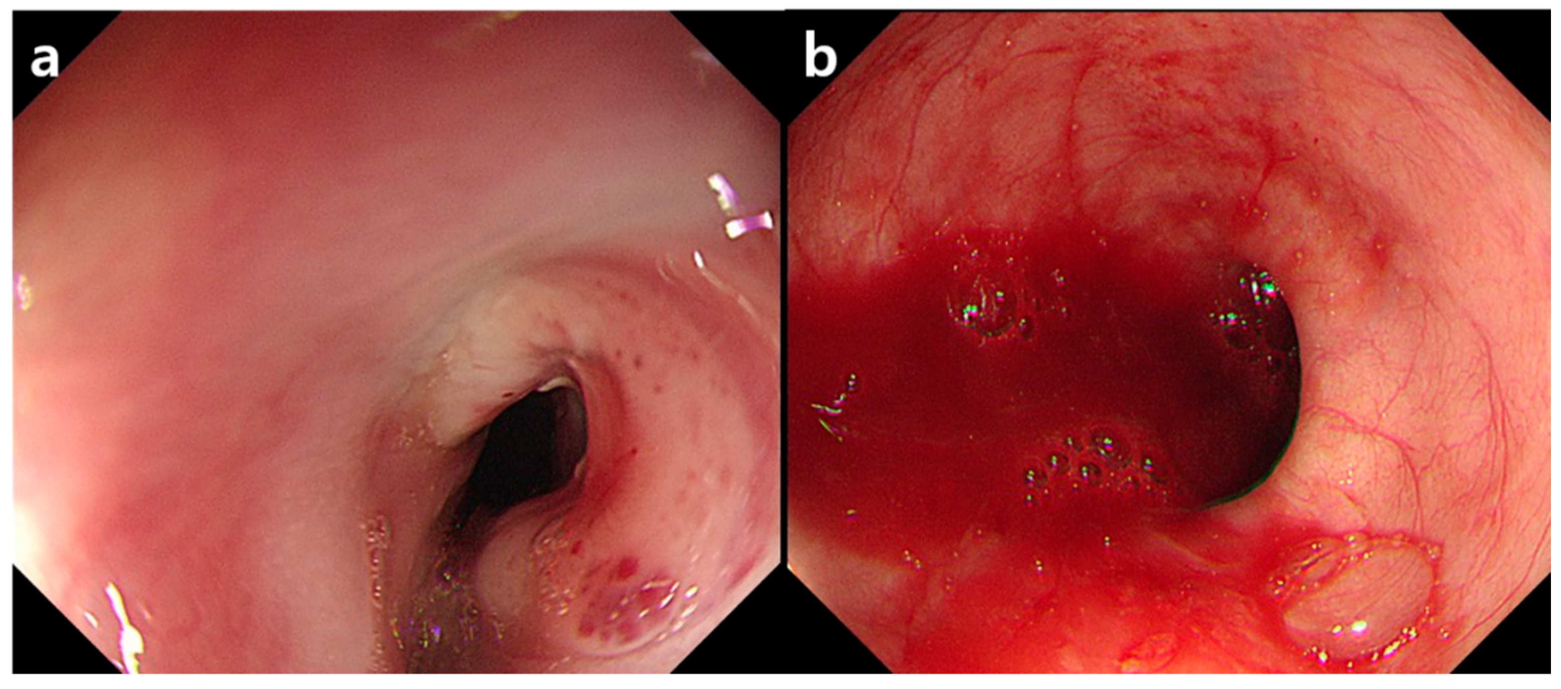 Diagnostics 11 00195 g003 Diagnostics 11 00195 g003