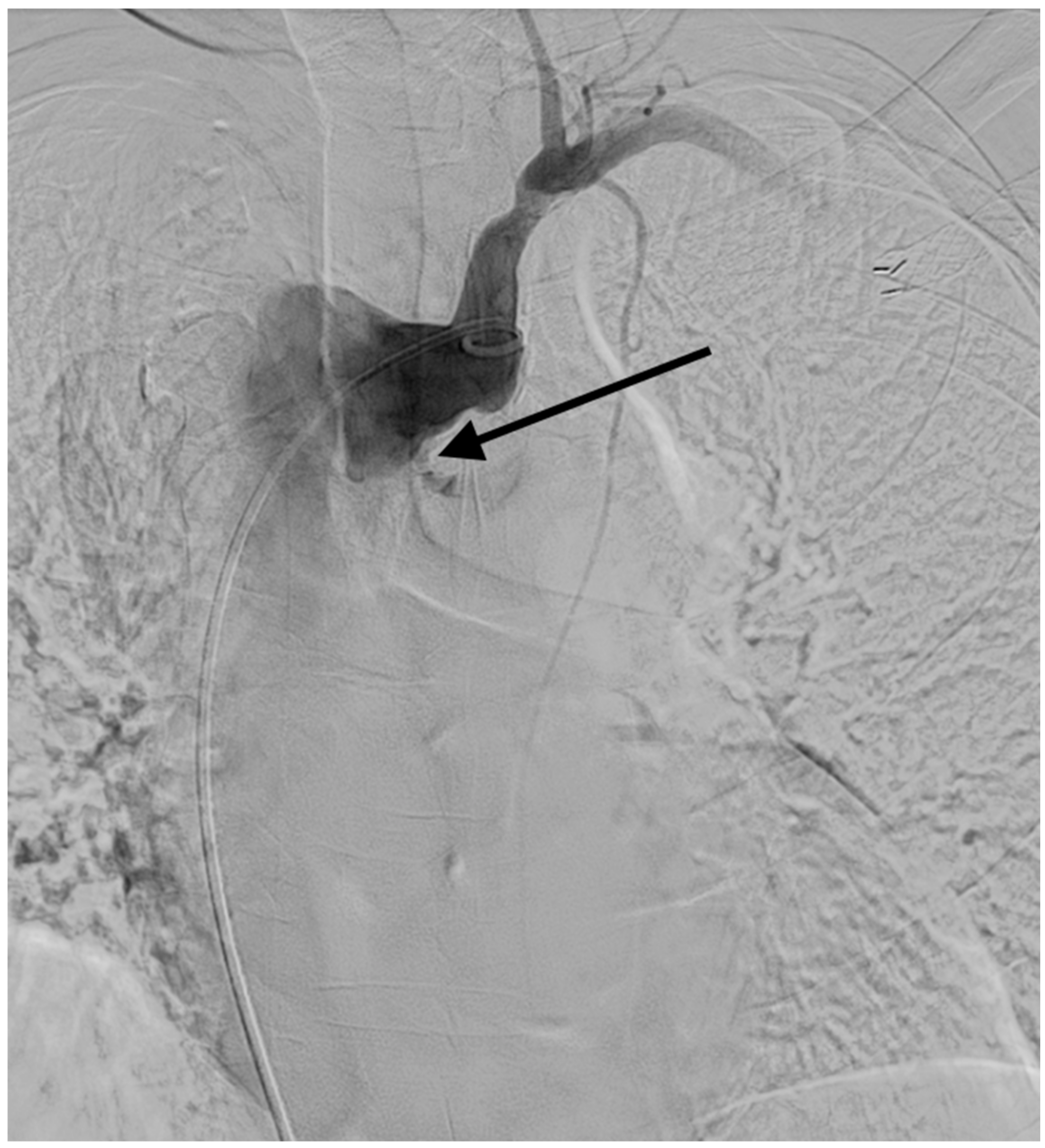 Diagnostics 11 00195 g005 Diagnostics 11 00195 g005