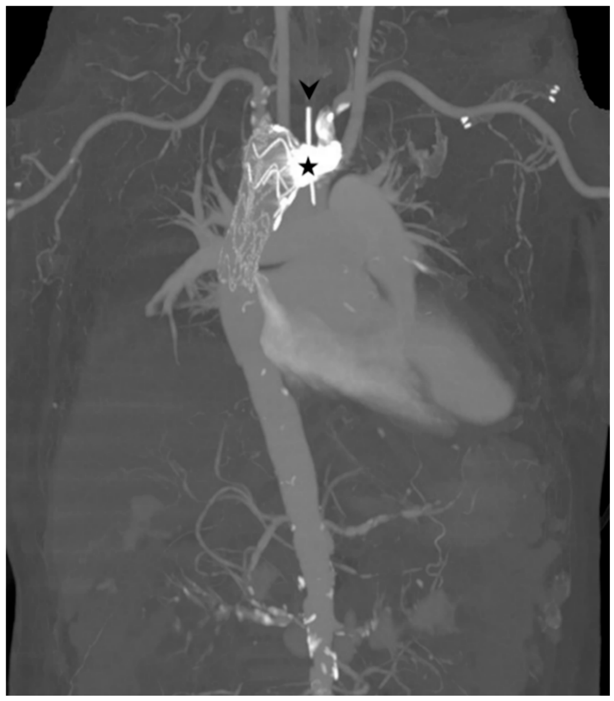 Diagnostics 11 00195 g006 Diagnostics 11 00195 g006