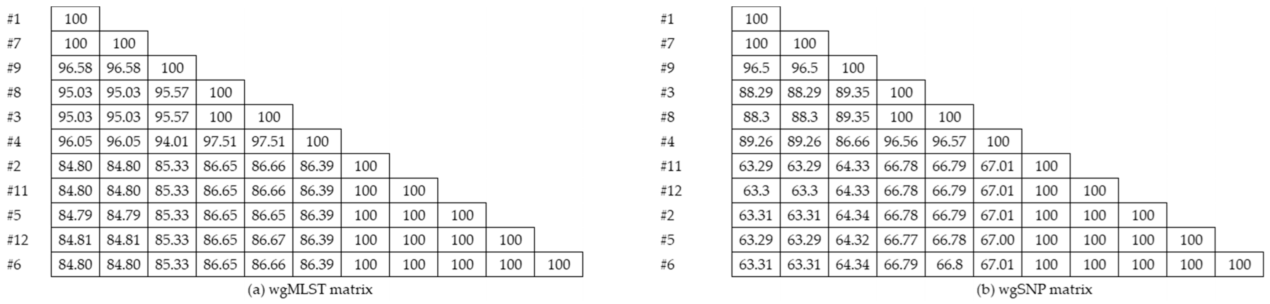 Diagnostics 11 00201 g002 Diagnostics 11 00201 g002