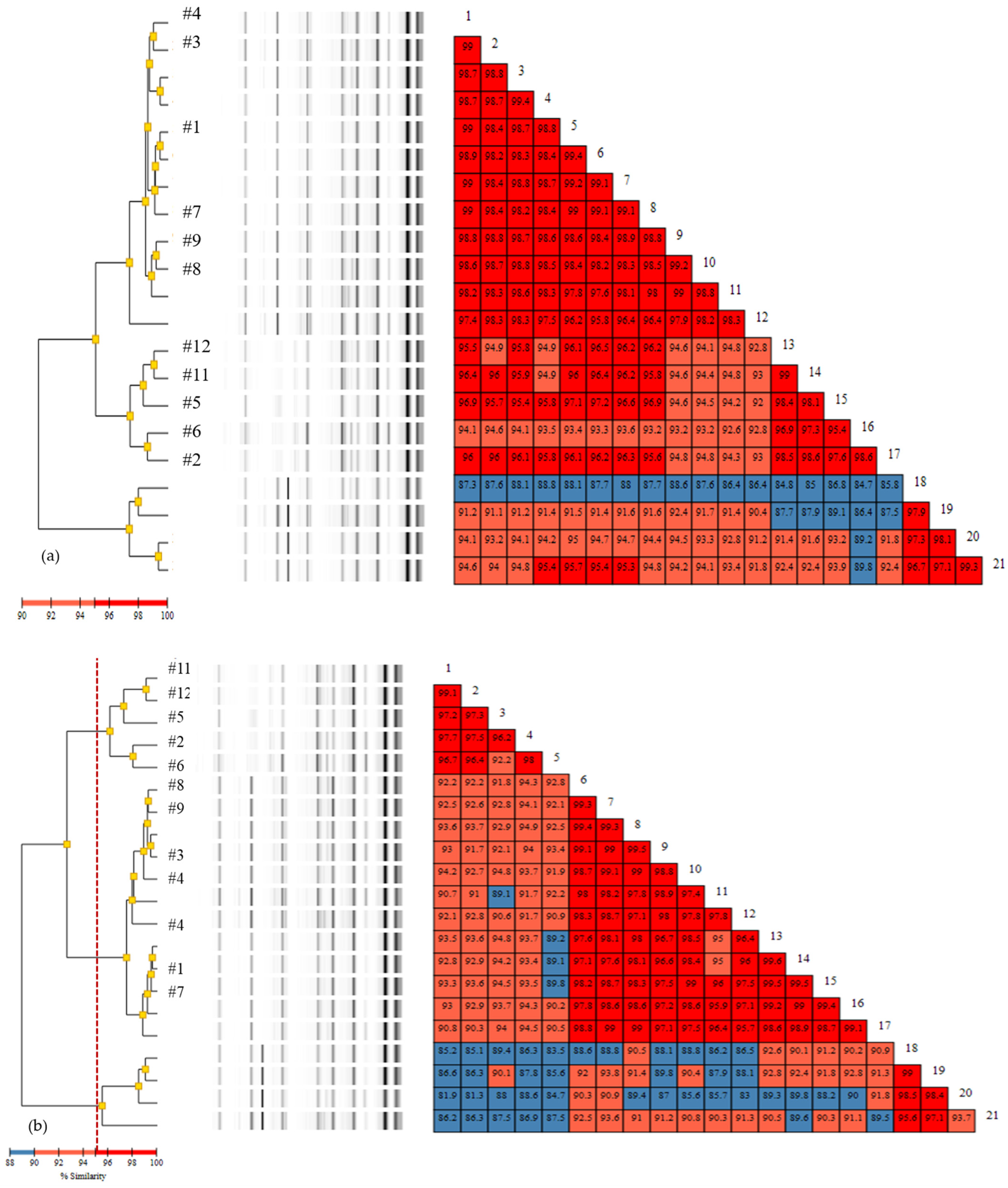 Diagnostics 11 00201 g003a Diagnostics 11 00201 g003a