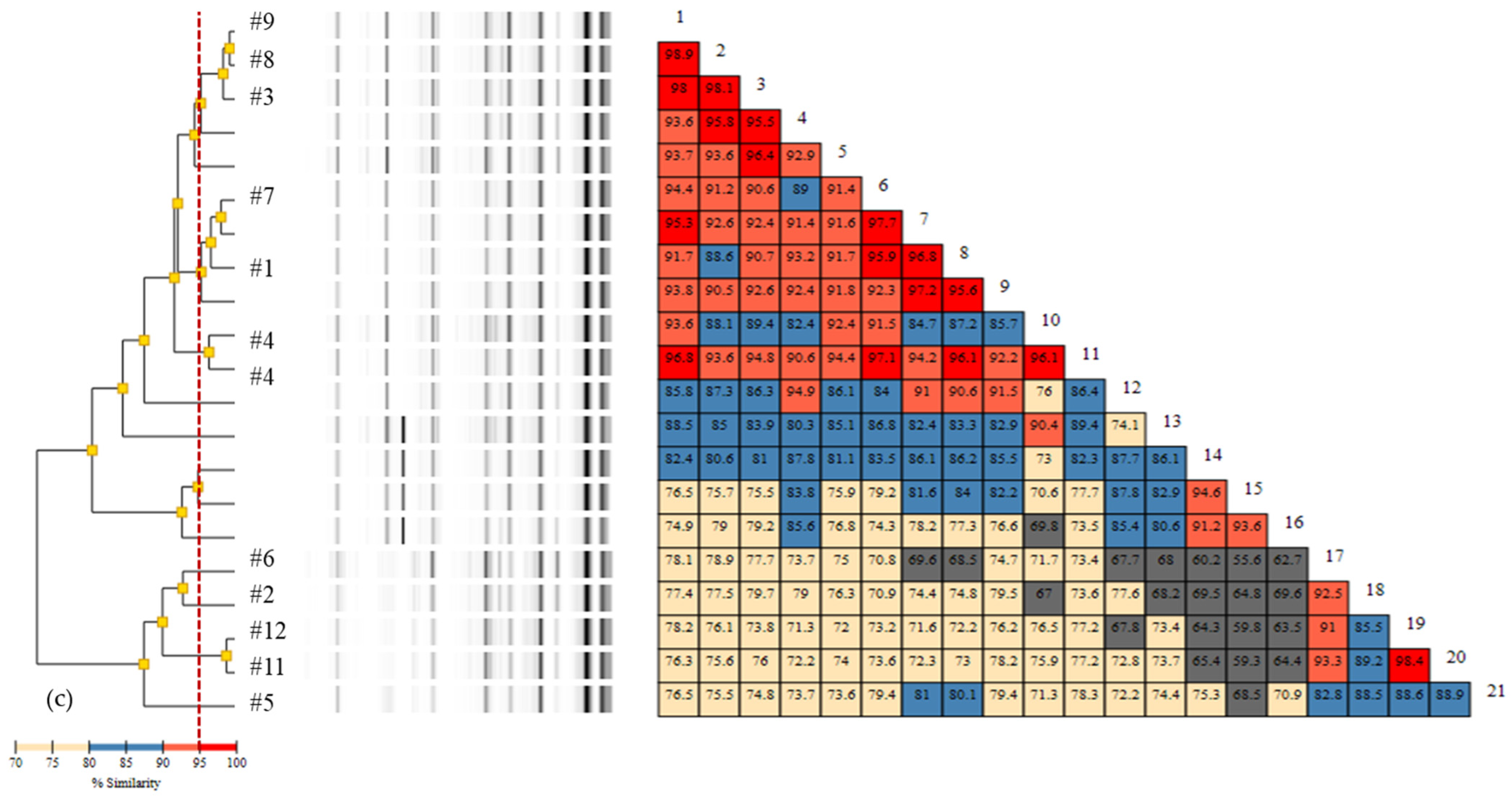 Diagnostics 11 00201 g003b Diagnostics 11 00201 g003b