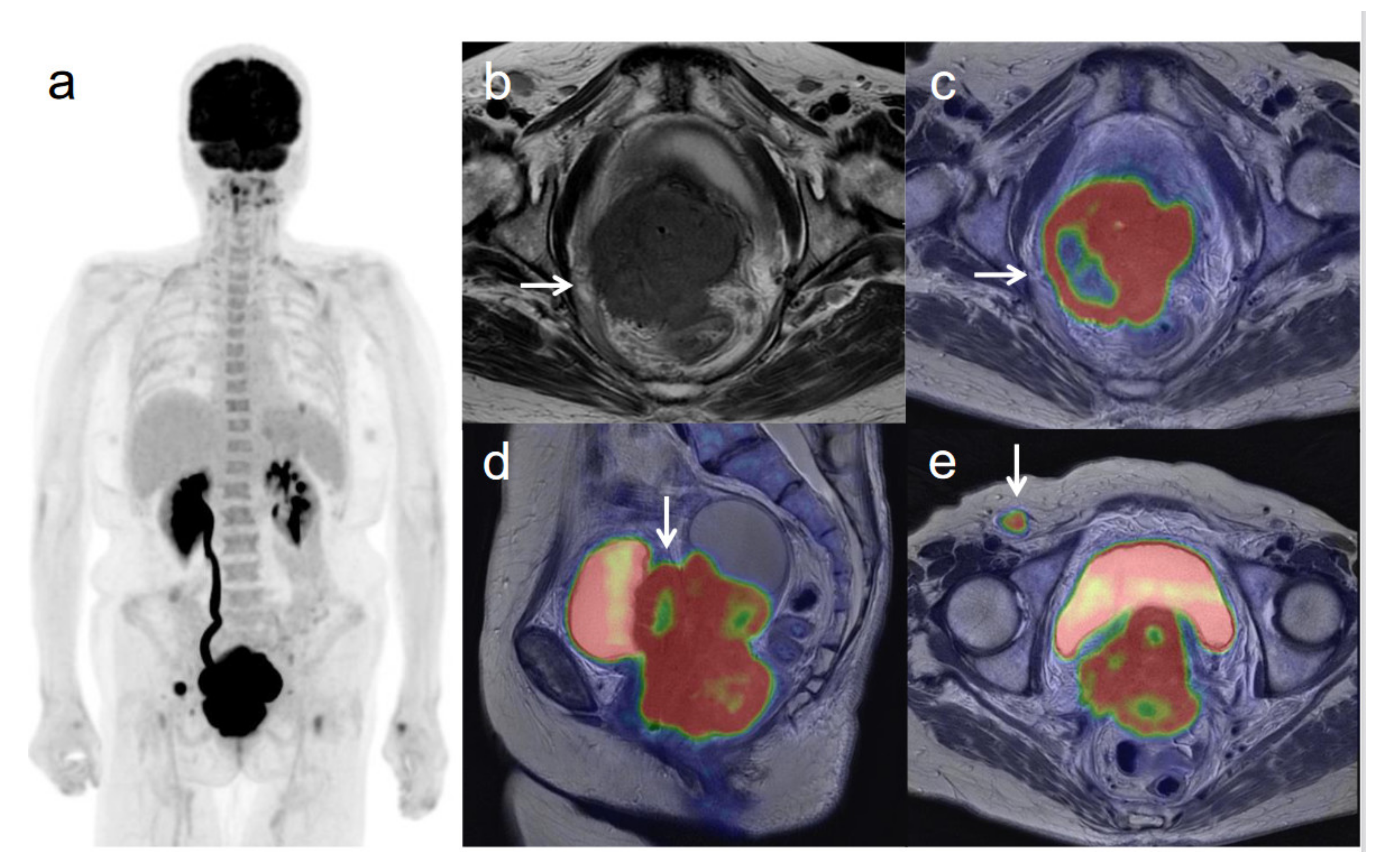Diagnostics 11 00202 g002