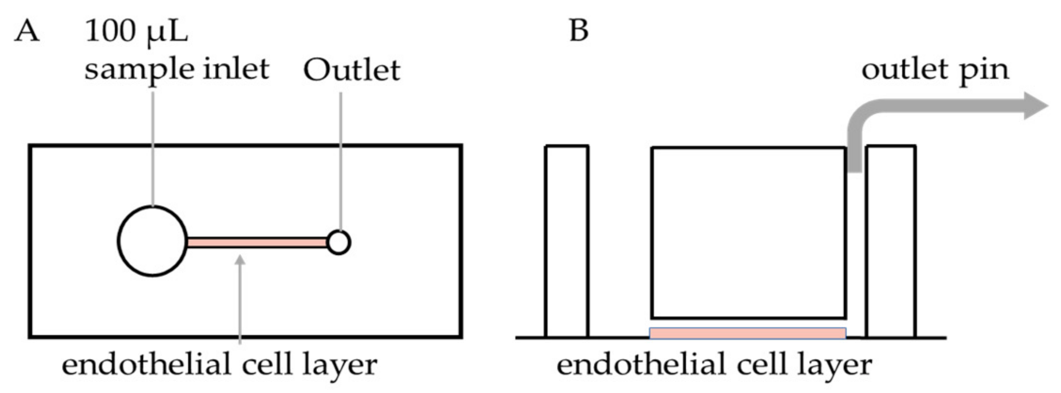 Diagnostics 11 00203 g001 Diagnostics 11 00203 g001