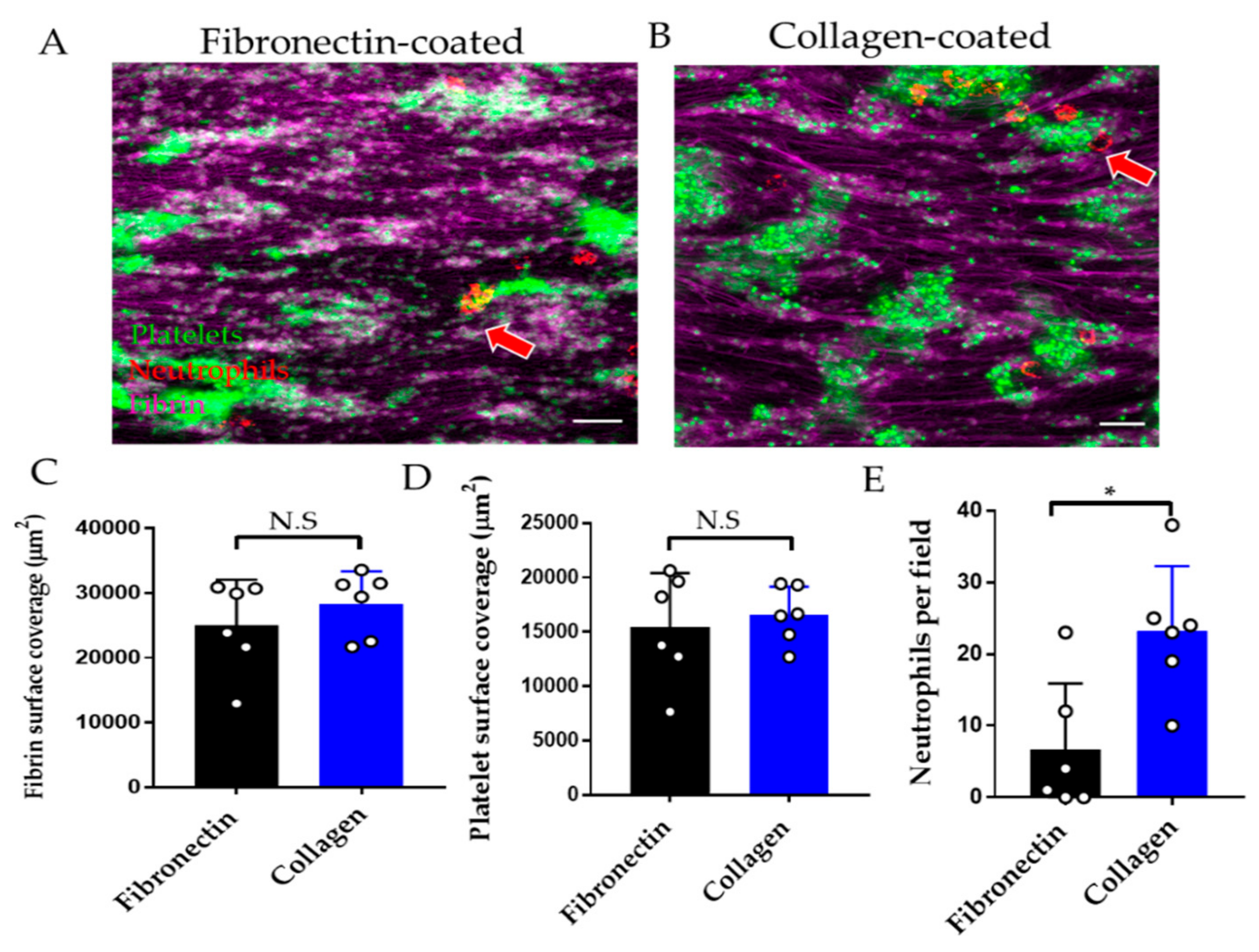 Diagnostics 11 00203 g005 Diagnostics 11 00203 g005