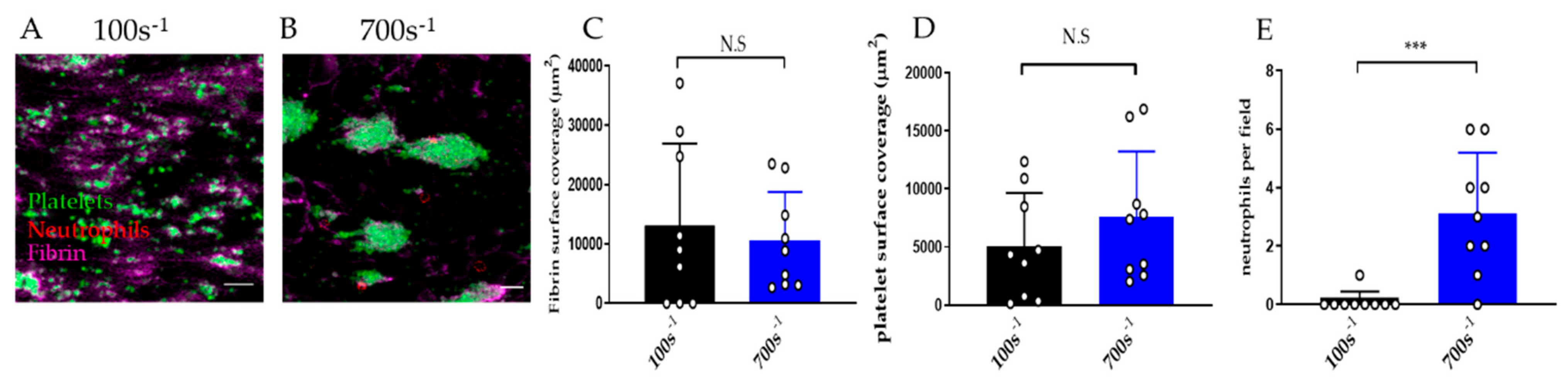 Diagnostics 11 00203 g007 Diagnostics 11 00203 g007