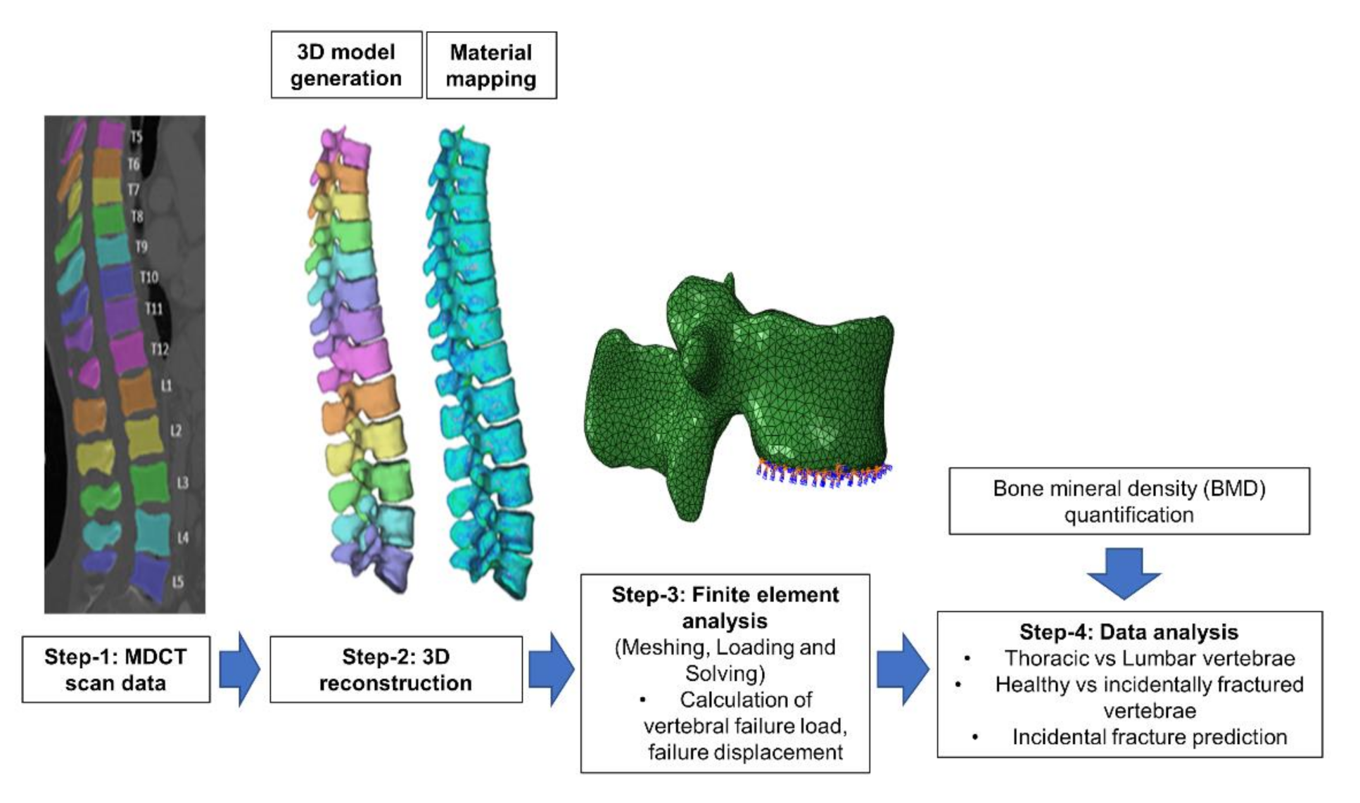 Diagnostics 11 00208 g002 Diagnostics 11 00208 g002