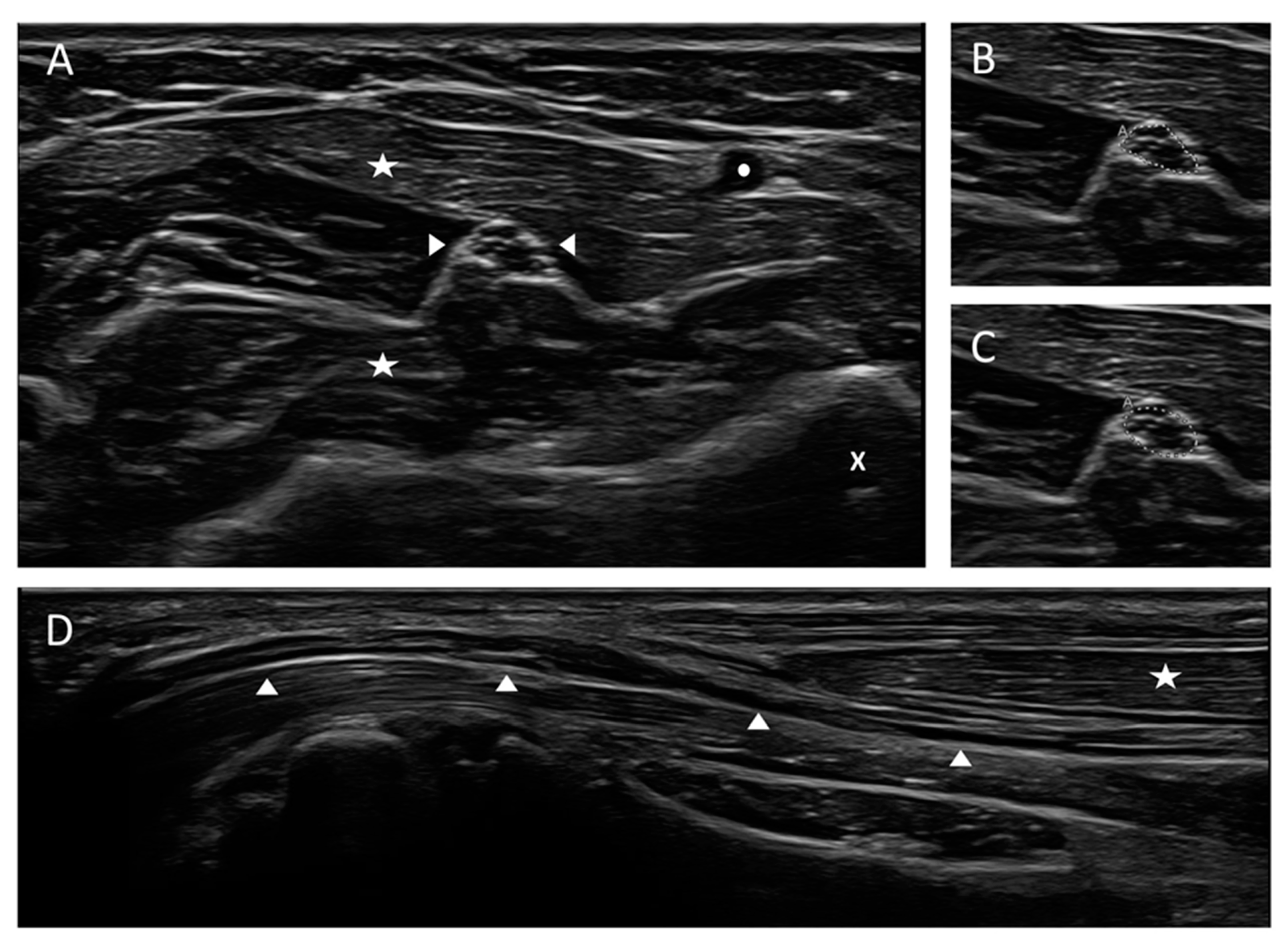 Diagnostics 11 00211 g001