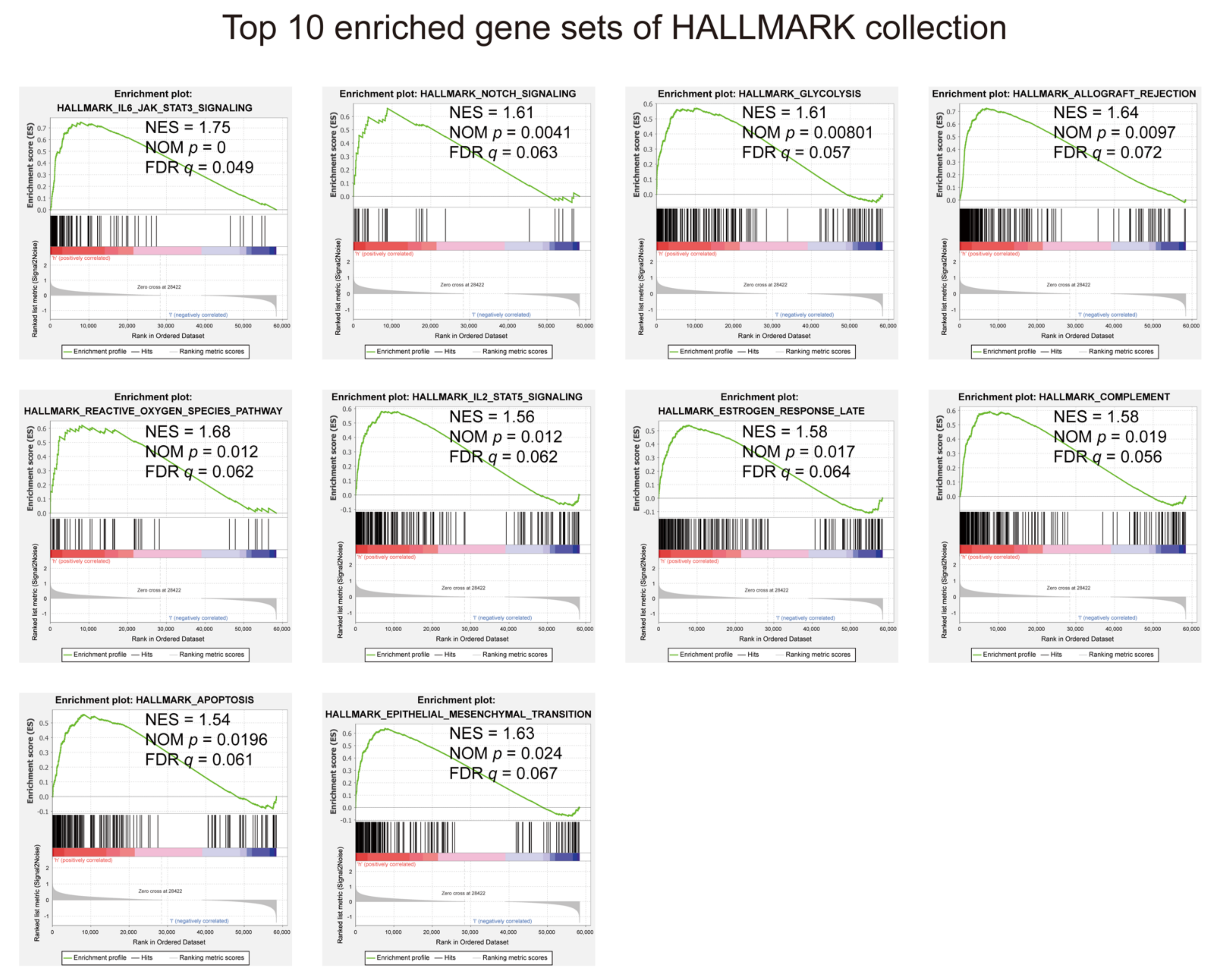Diagnostics 11 00219 g008 Diagnostics 11 00219 g008