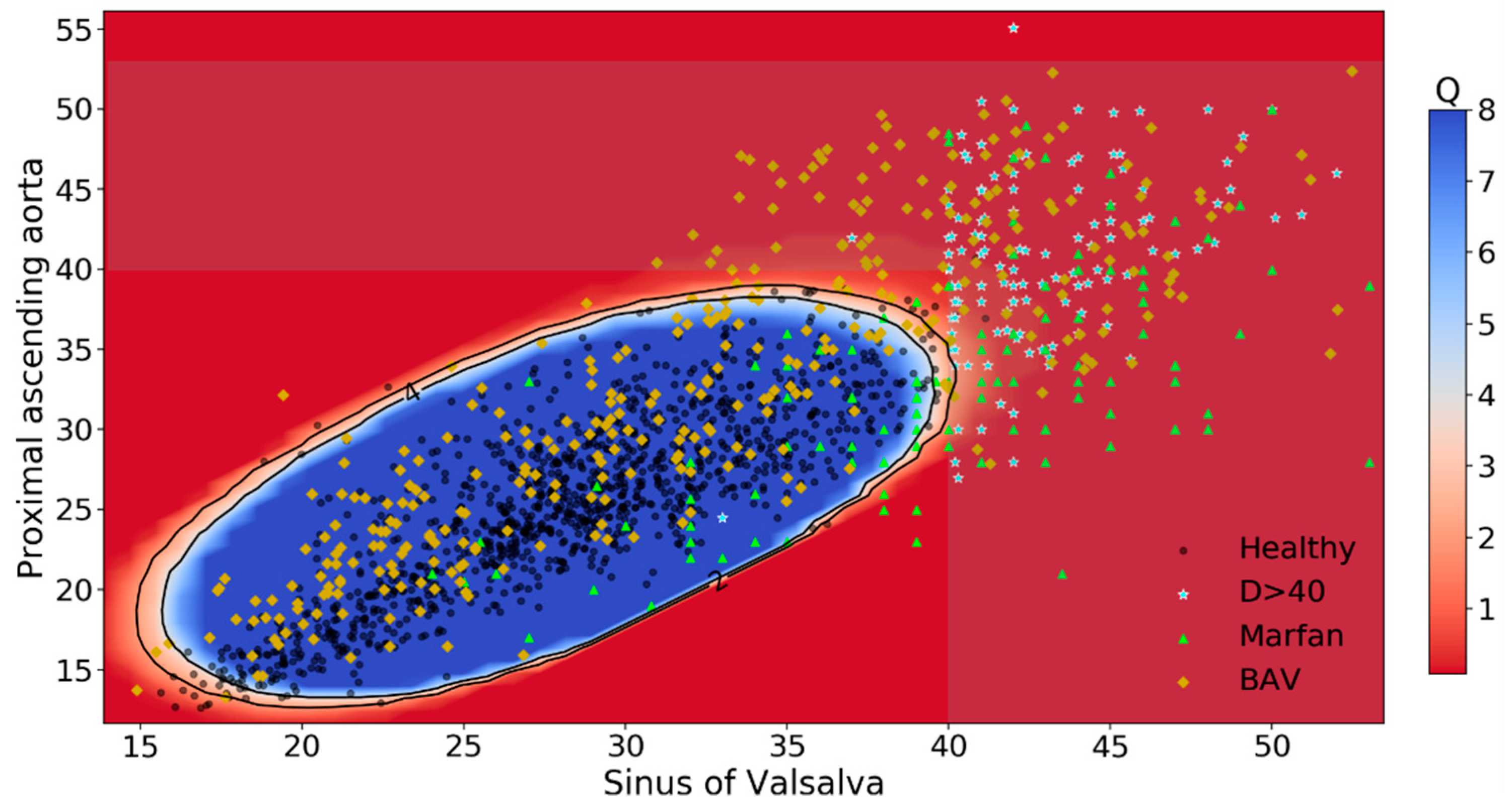Diagnostics 11 00220 g001