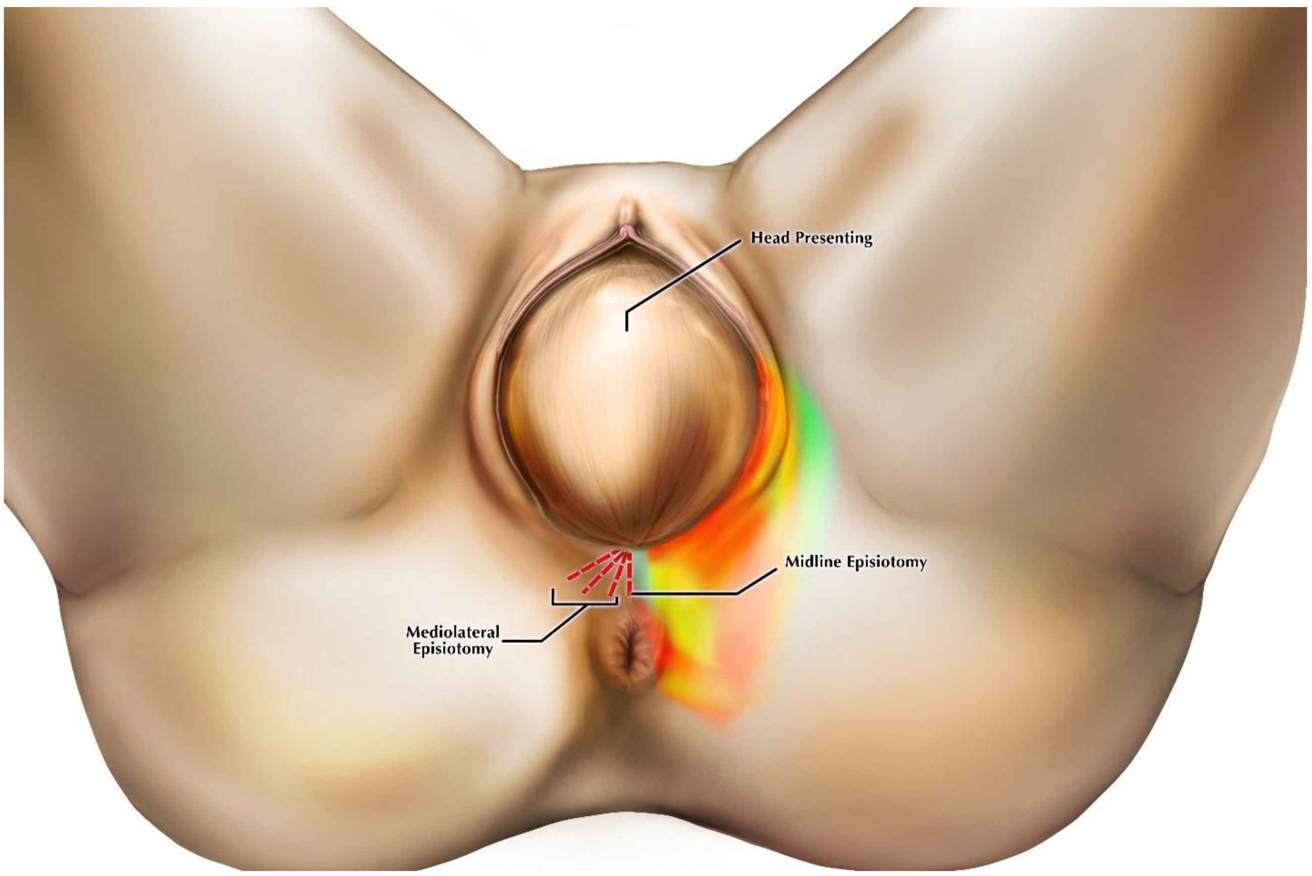 Diagnostics 11 00221 g005