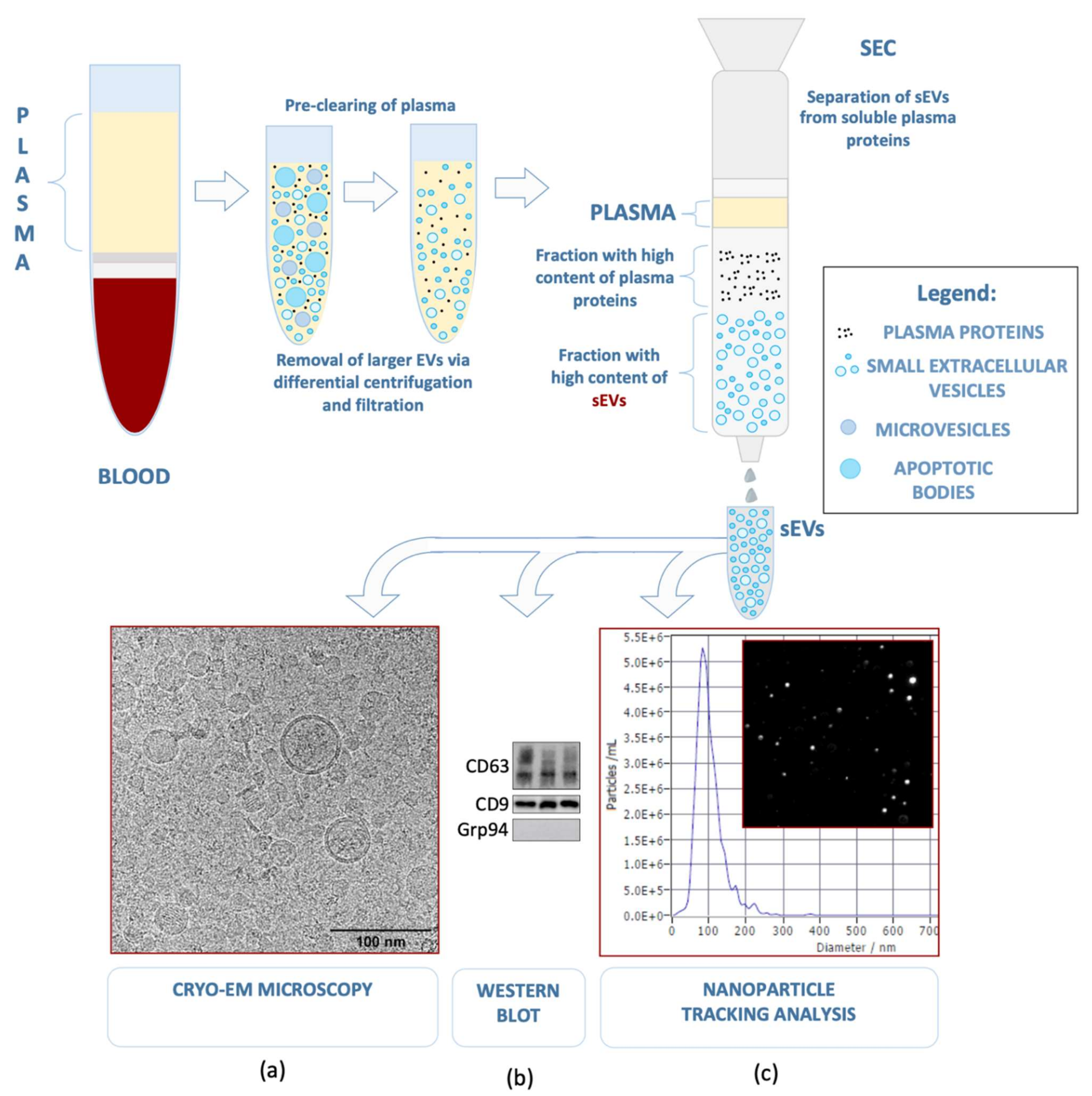 Diagnostics 11 00222 g001 Diagnostics 11 00222 g001