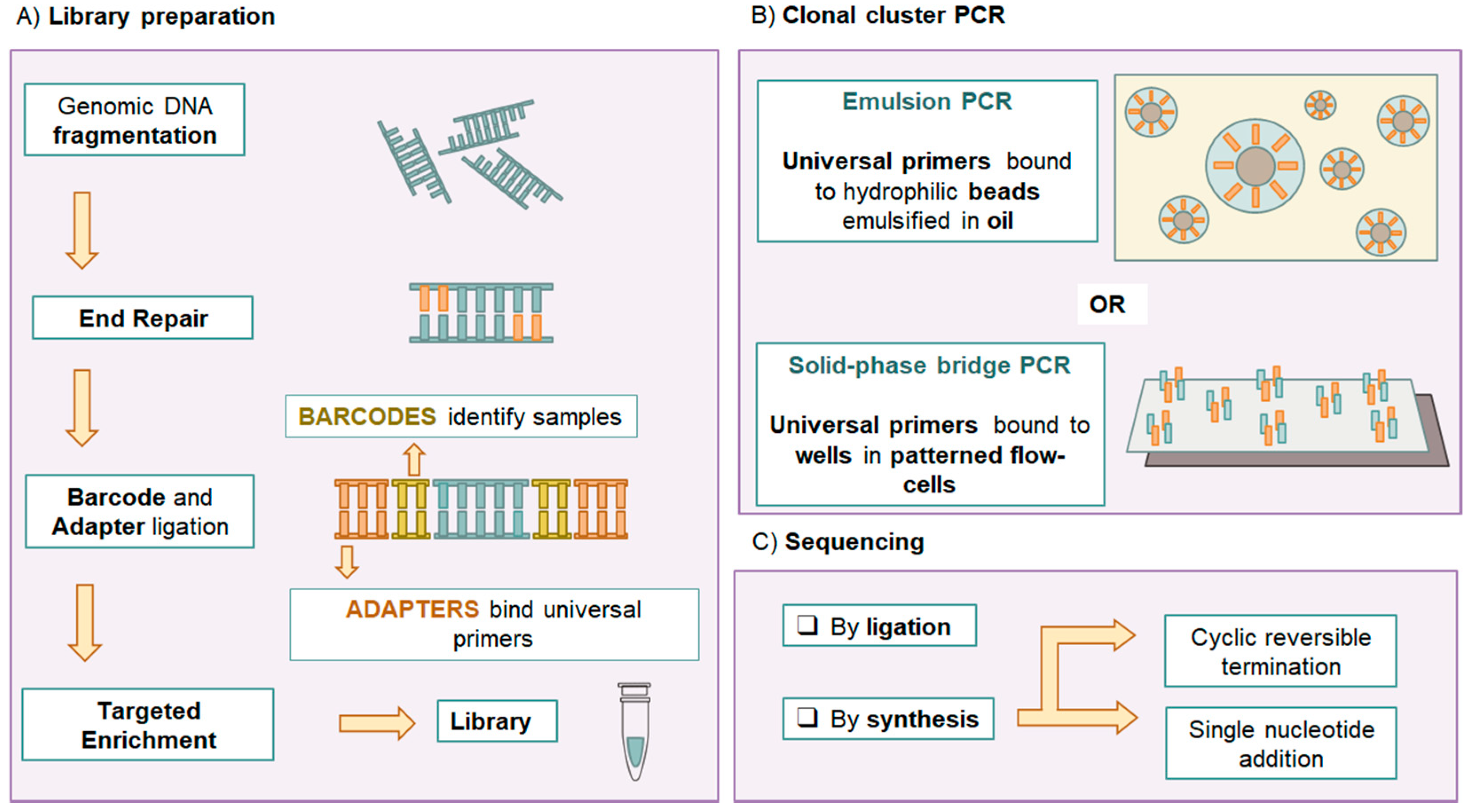 Diagnostics 11 00224 g001 Diagnostics 11 00224 g001