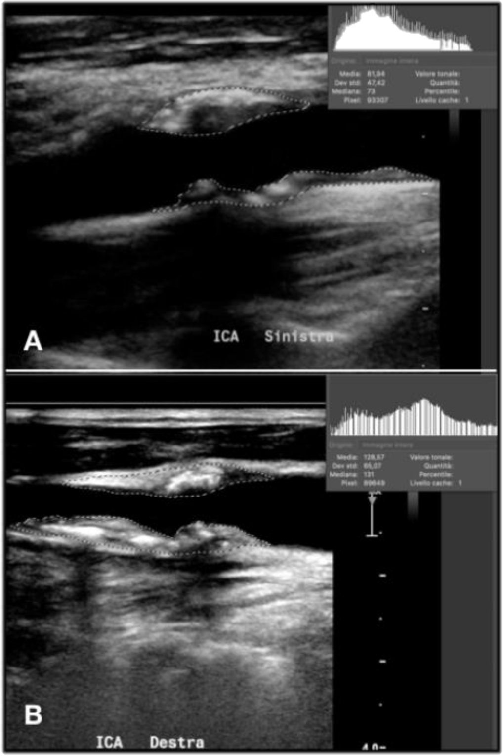 Diagnostics 11 00229 g006 Diagnostics 11 00229 g006