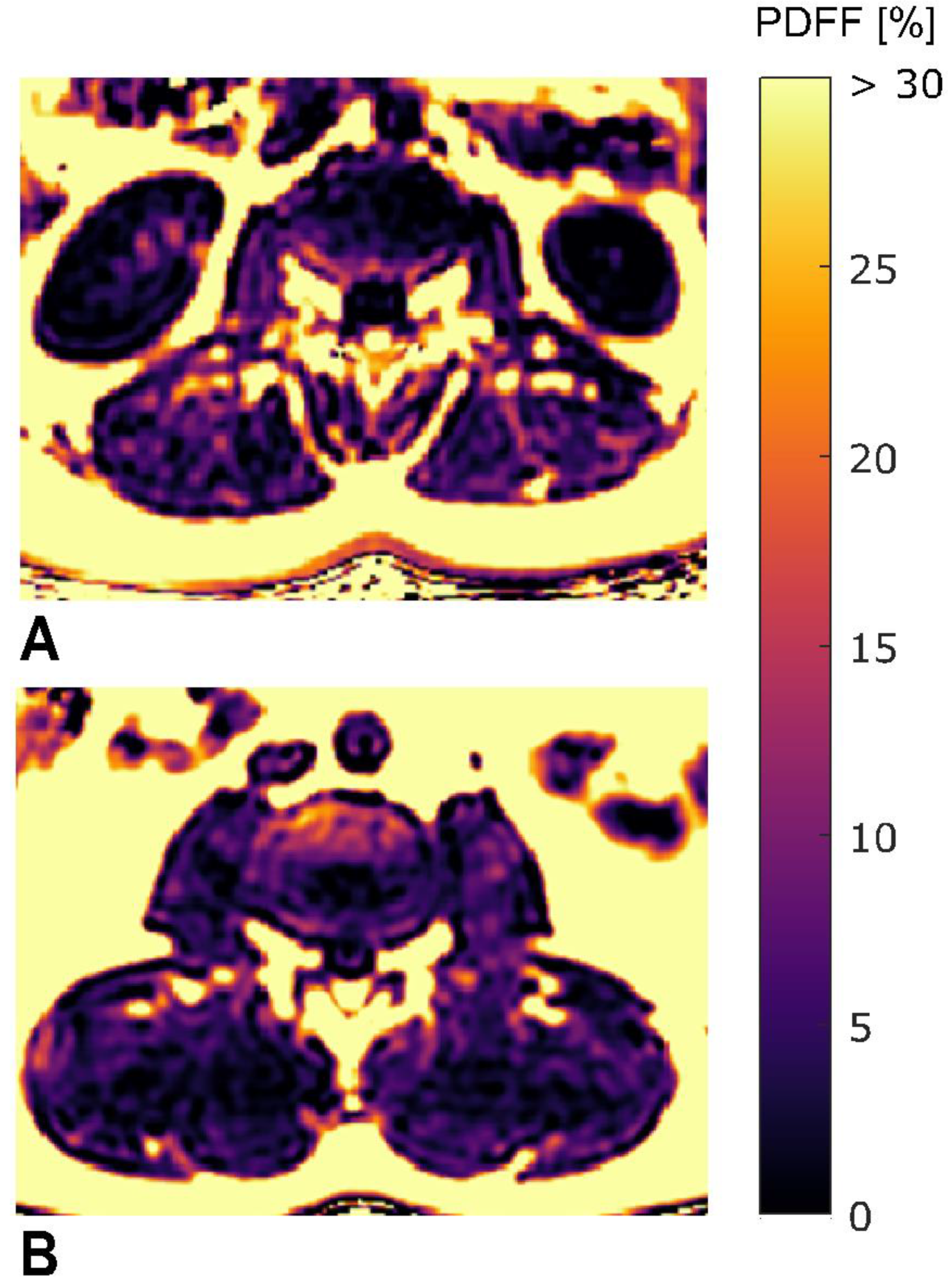 Diagnostics 11 00239 g002 Diagnostics 11 00239 g002