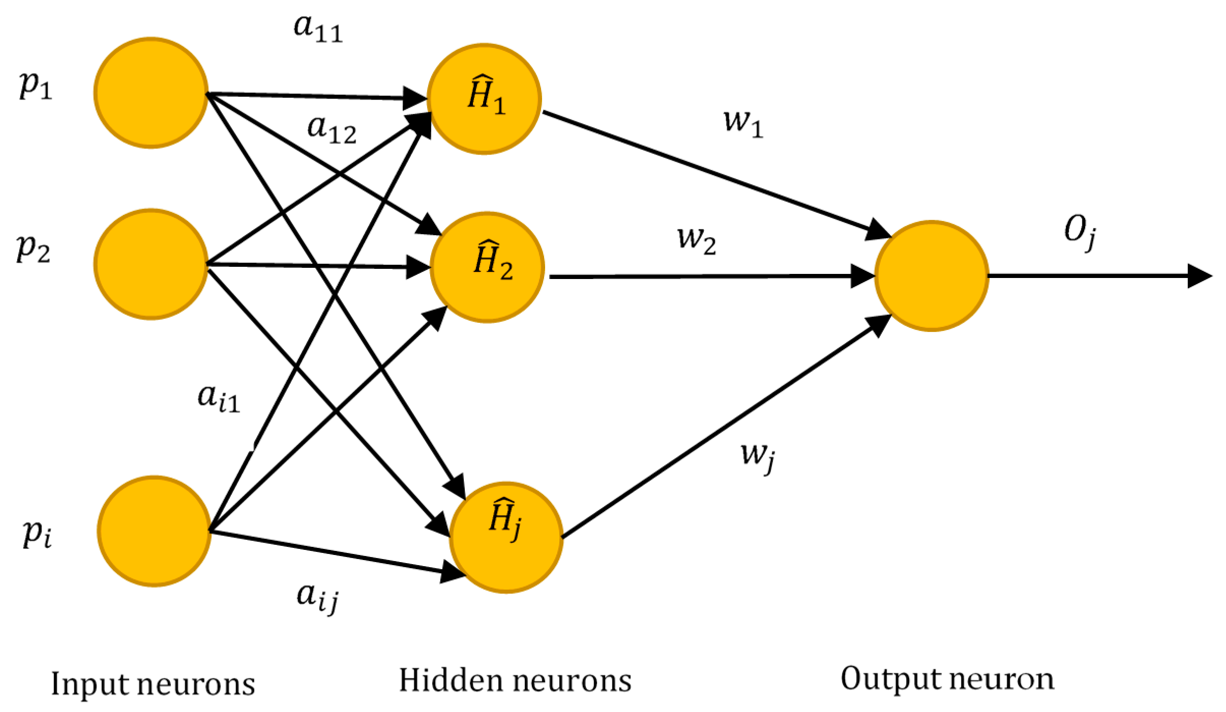 Diagnostics 11 00241 g002 Diagnostics 11 00241 g002