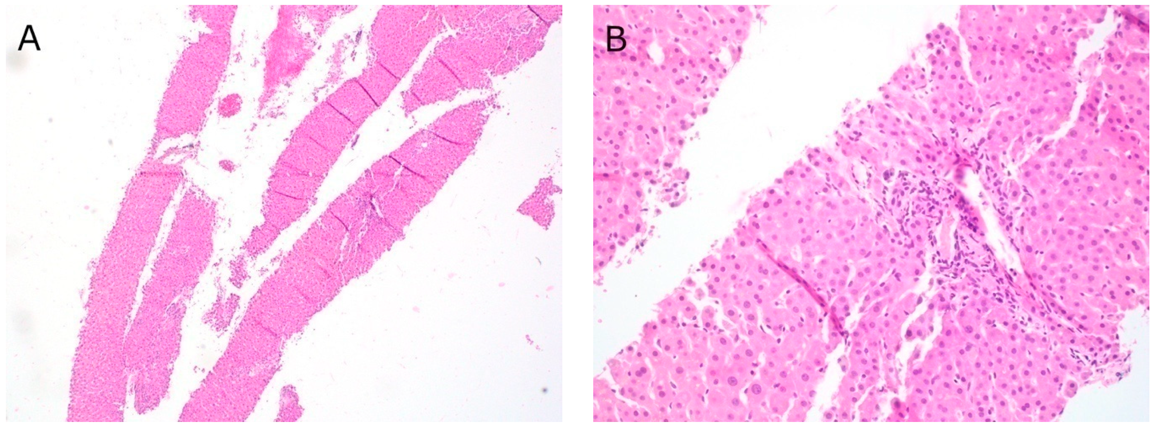 Diagnostics 11 00242 g002