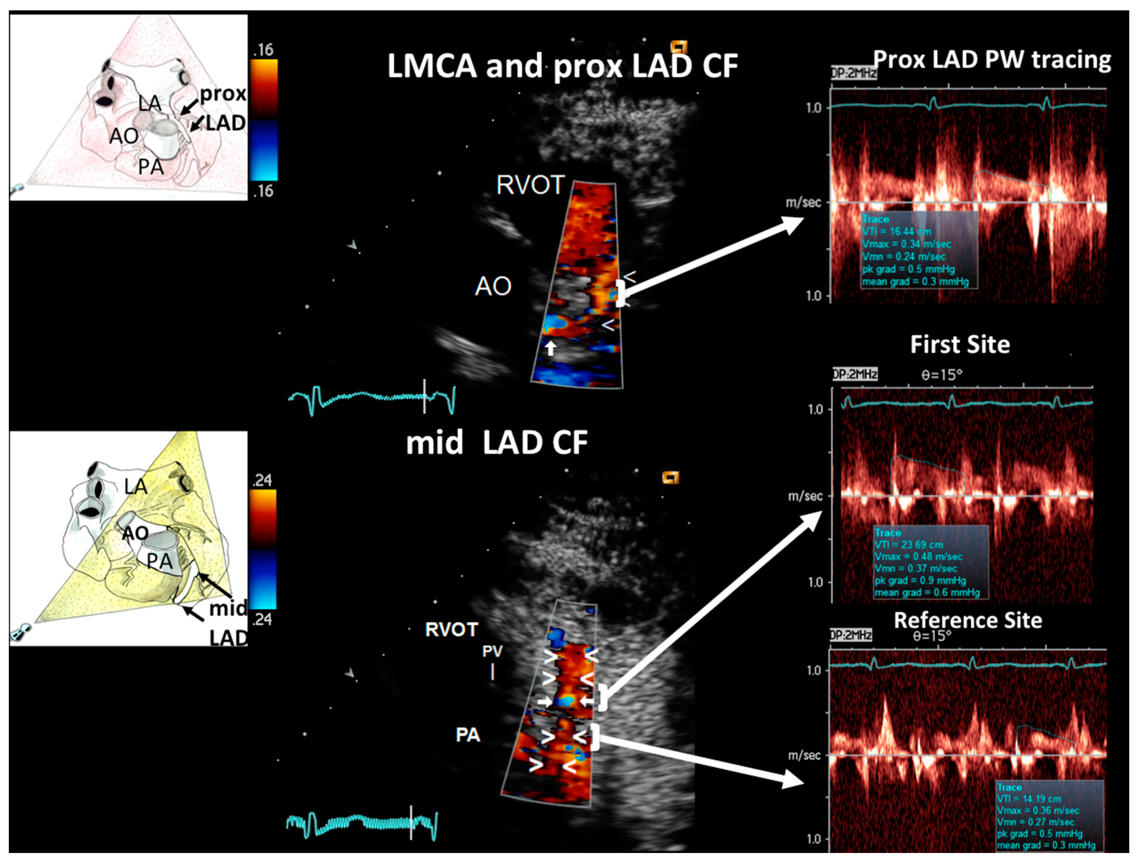 Diagnostics 11 00245 g002