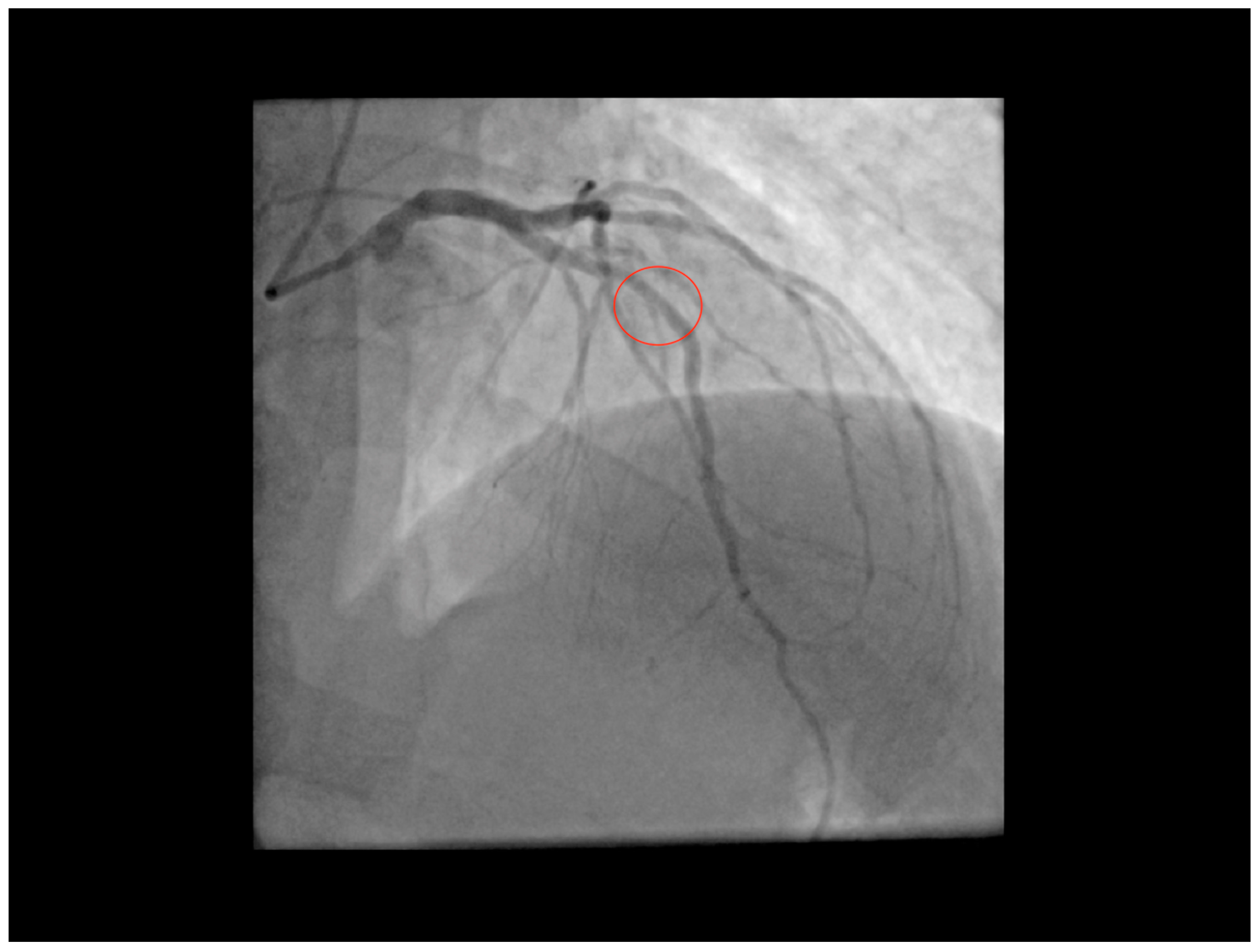 Diagnostics 11 00245 g004