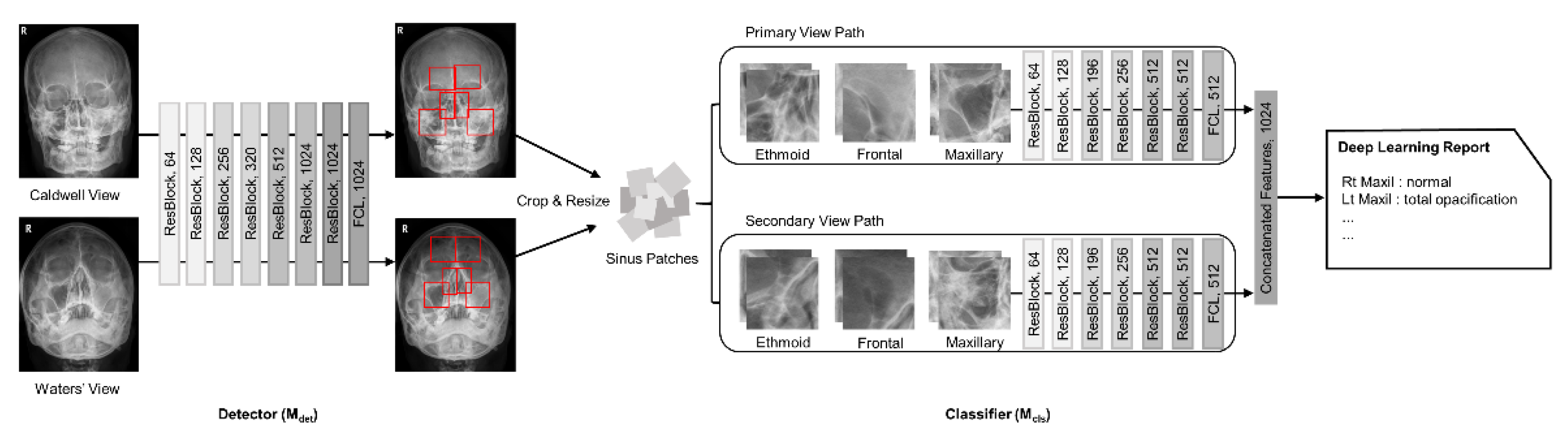 Diagnostics 11 00250 g003 Diagnostics 11 00250 g003