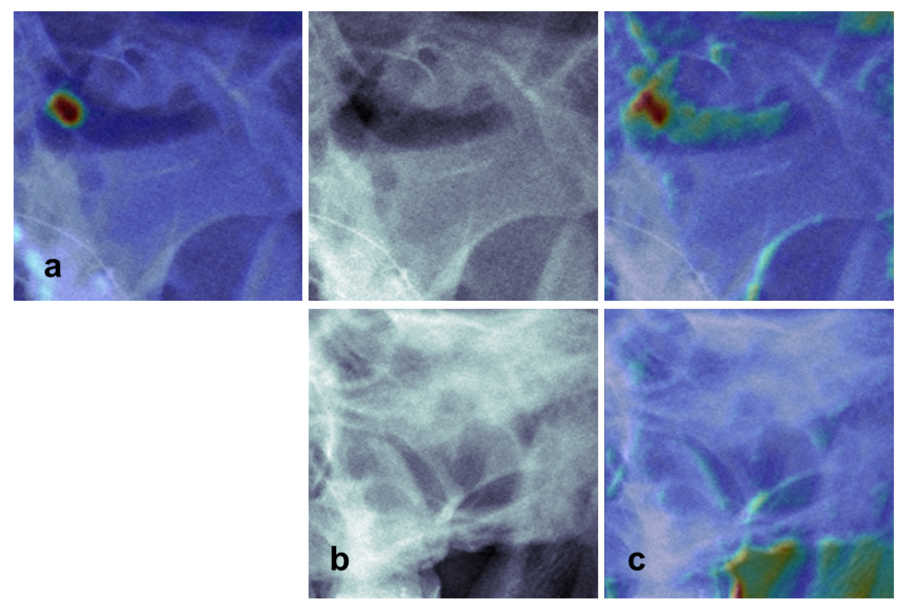 Diagnostics 11 00250 g005 Diagnostics 11 00250 g005