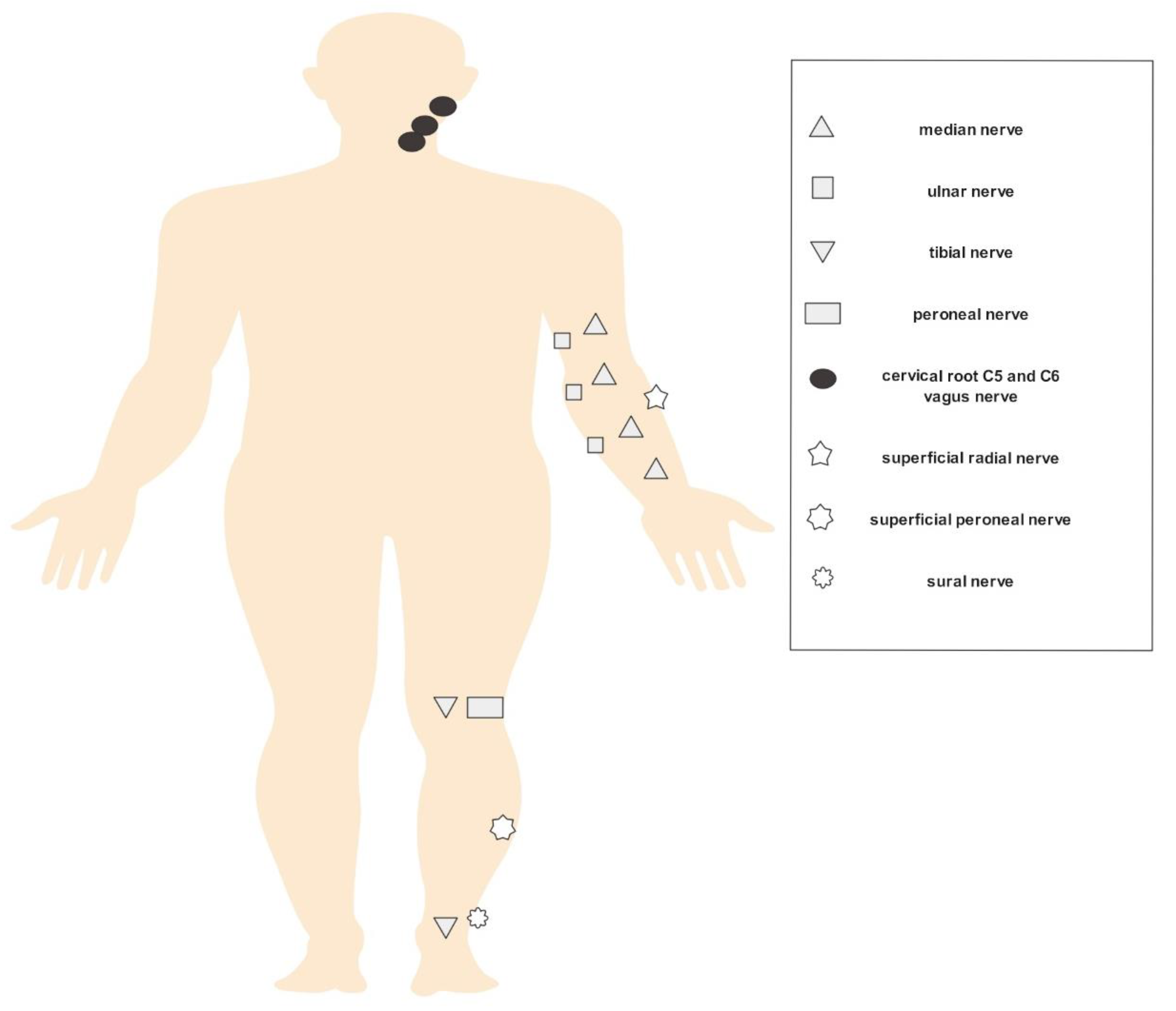Diagnostics 11 00264 g001