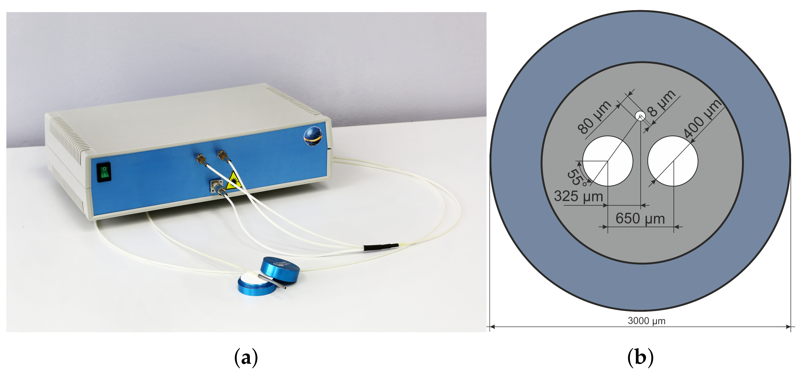 Diagnostics 11 00267 g001 Diagnostics 11 00267 g001