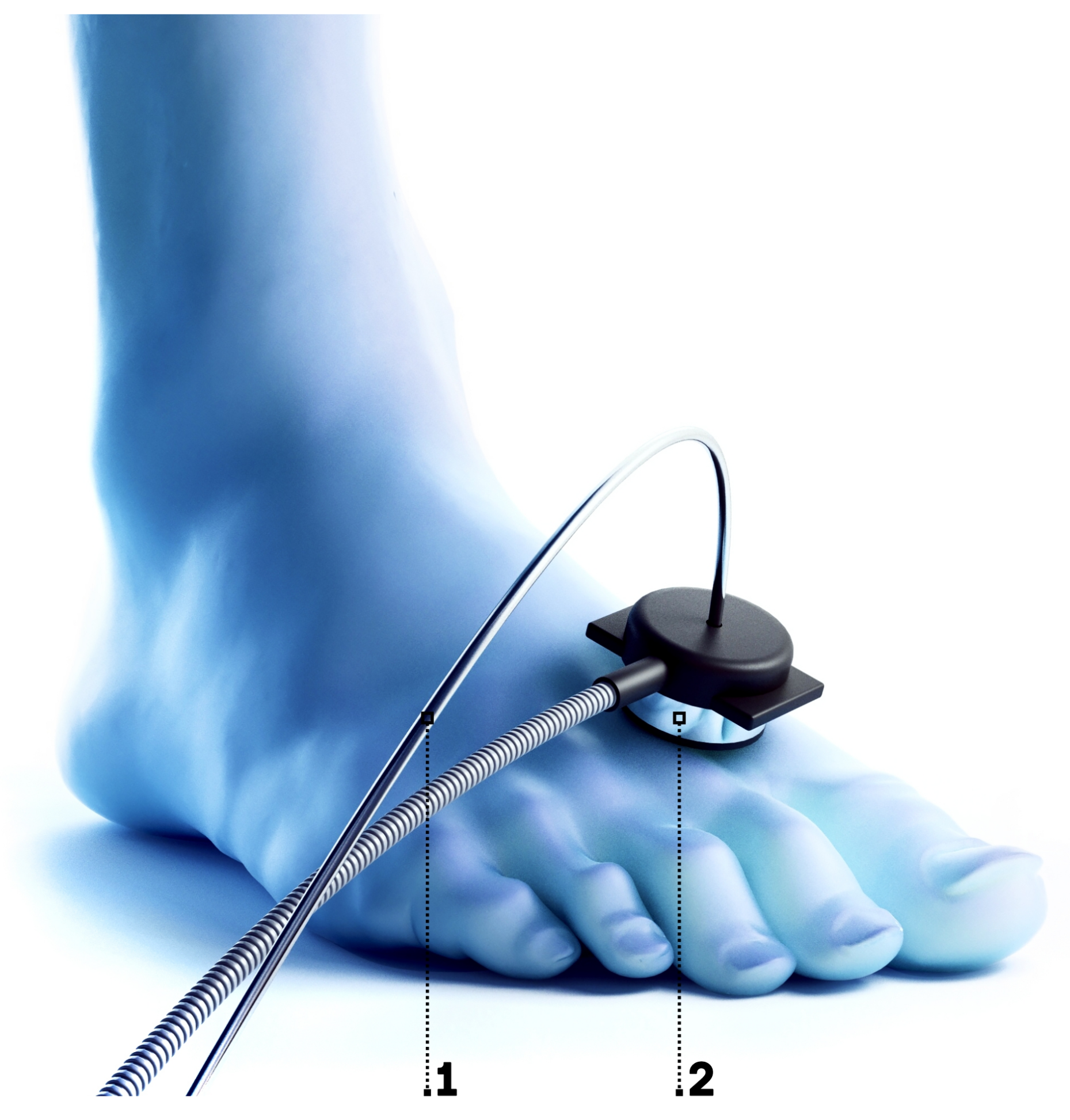 Diagnostics 11 00267 g004 Diagnostics 11 00267 g004