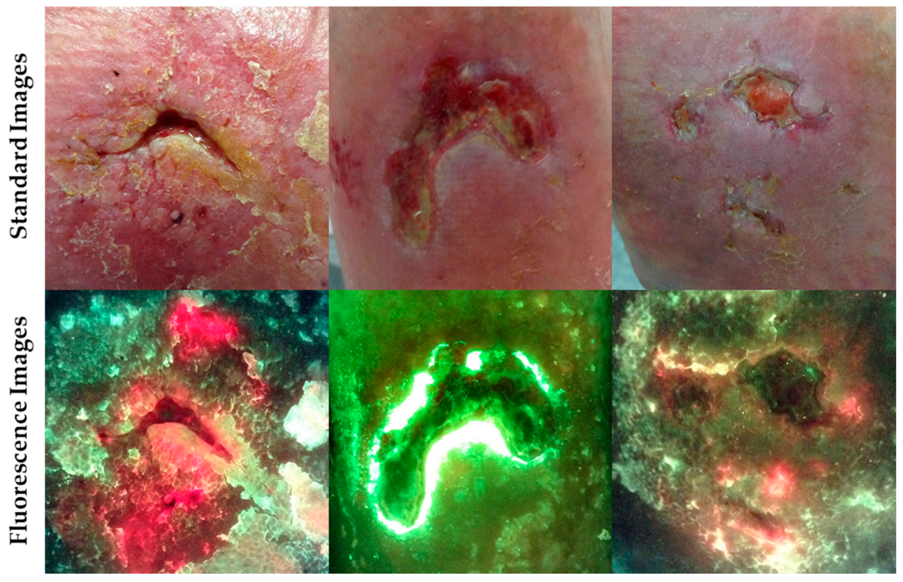 Diagnostics 11 00268 g002 Diagnostics 11 00268 g002