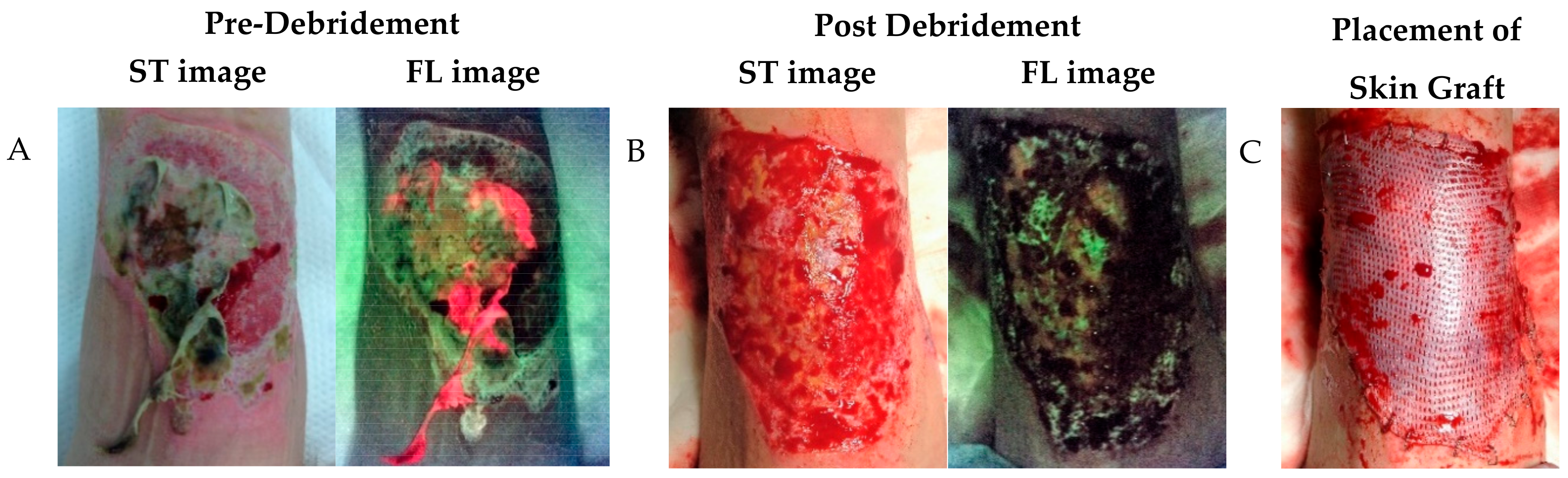 Diagnostics 11 00268 g004 Diagnostics 11 00268 g004