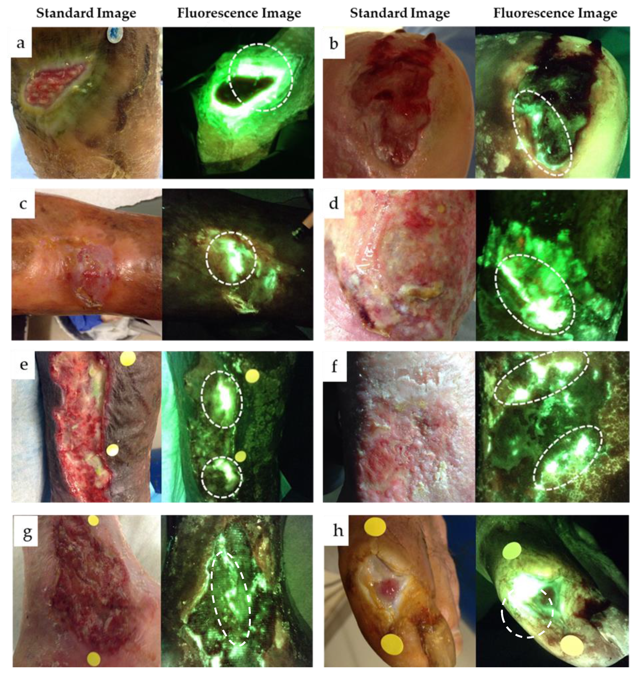 Diagnostics 11 00280 g002 Diagnostics 11 00280 g002