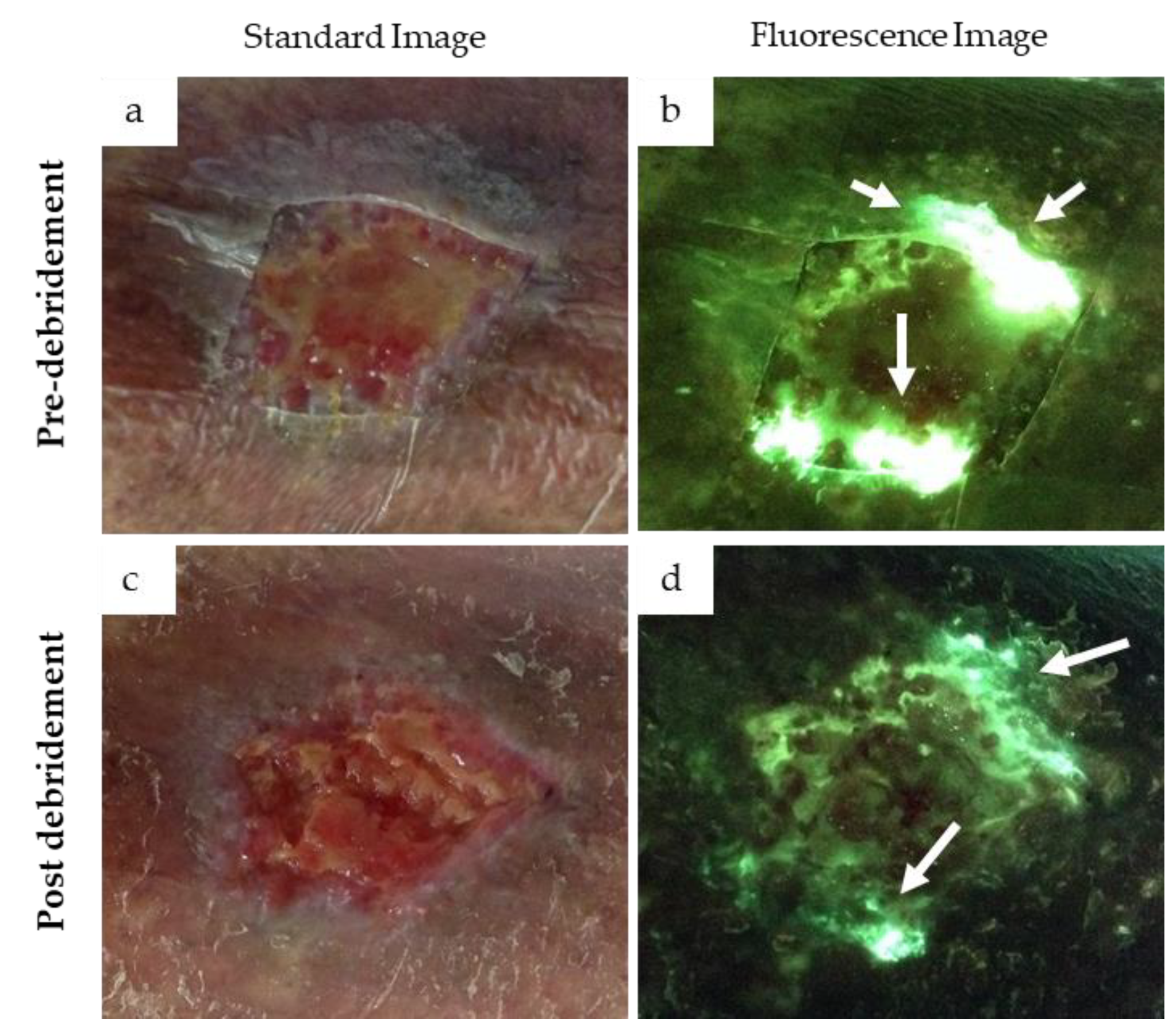Diagnostics 11 00280 g004 Diagnostics 11 00280 g004