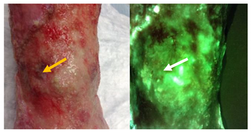 Diagnostics 11 00280 i002 Diagnostics 11 00280 i002