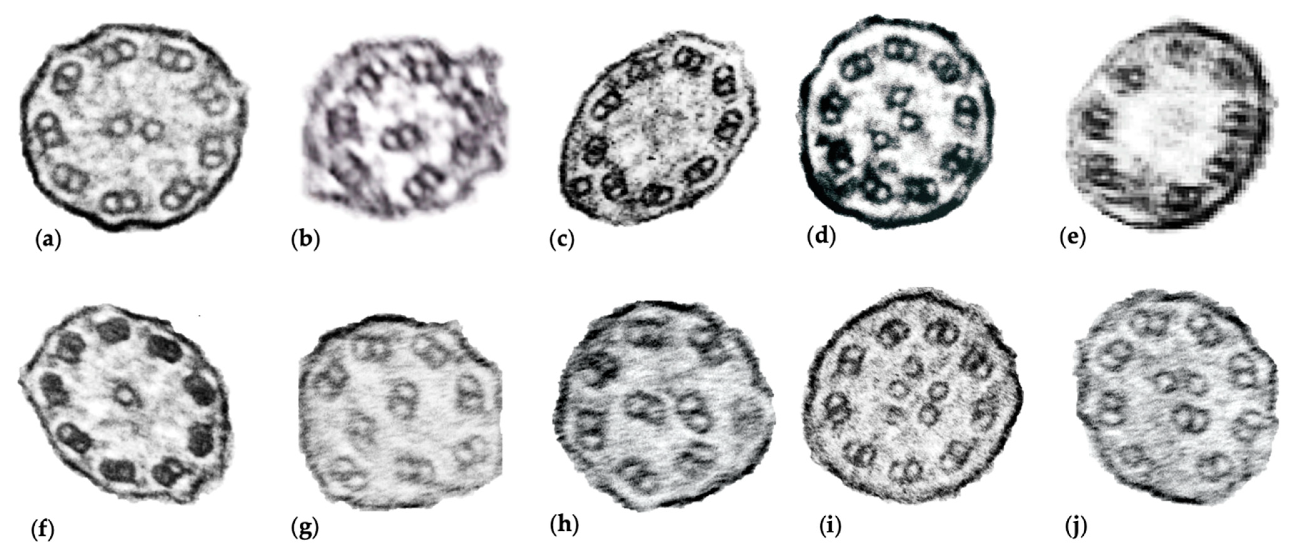 Diagnostics 11 00281 g001 Diagnostics 11 00281 g001