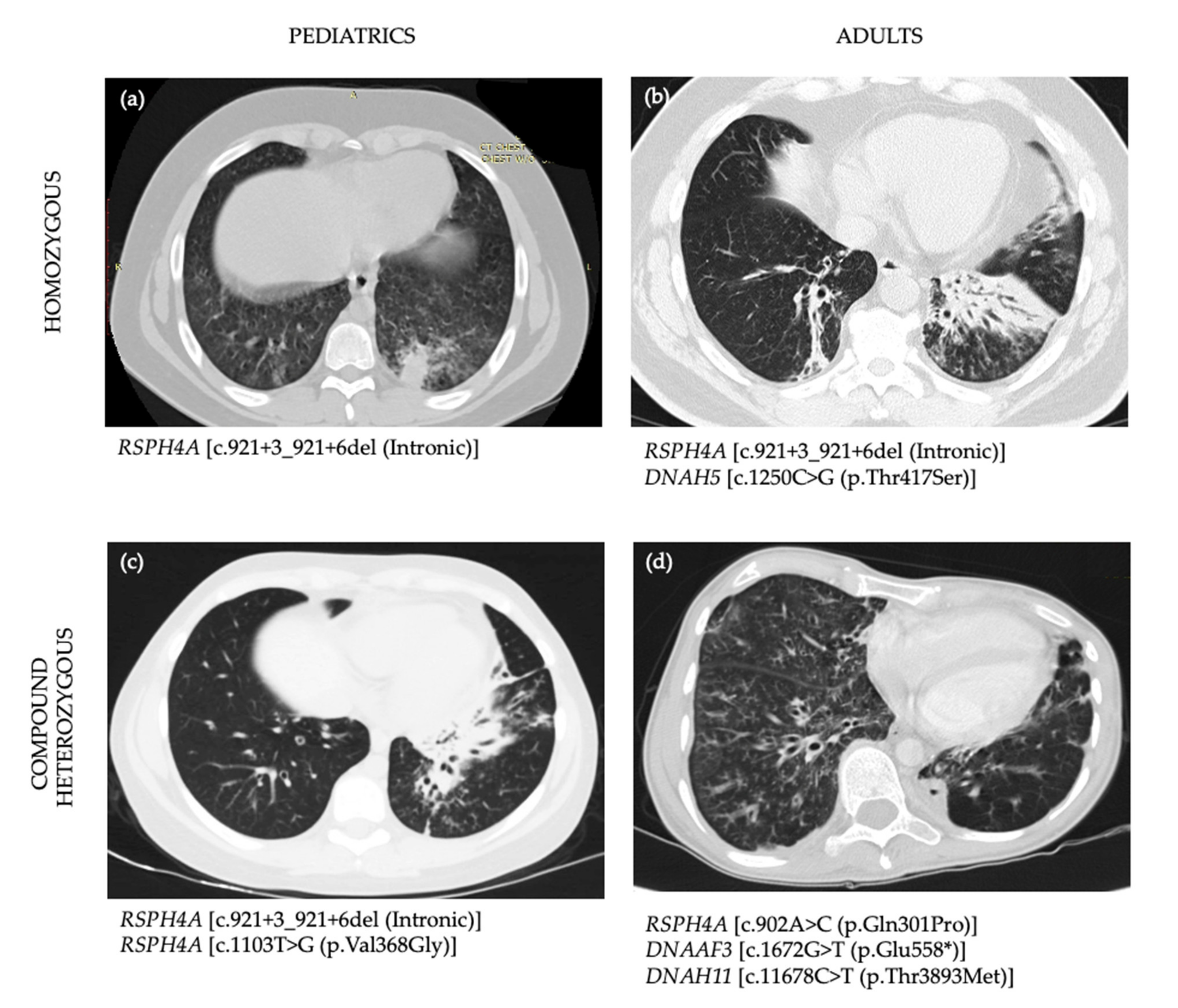 Diagnostics 11 00281 g002 Diagnostics 11 00281 g002