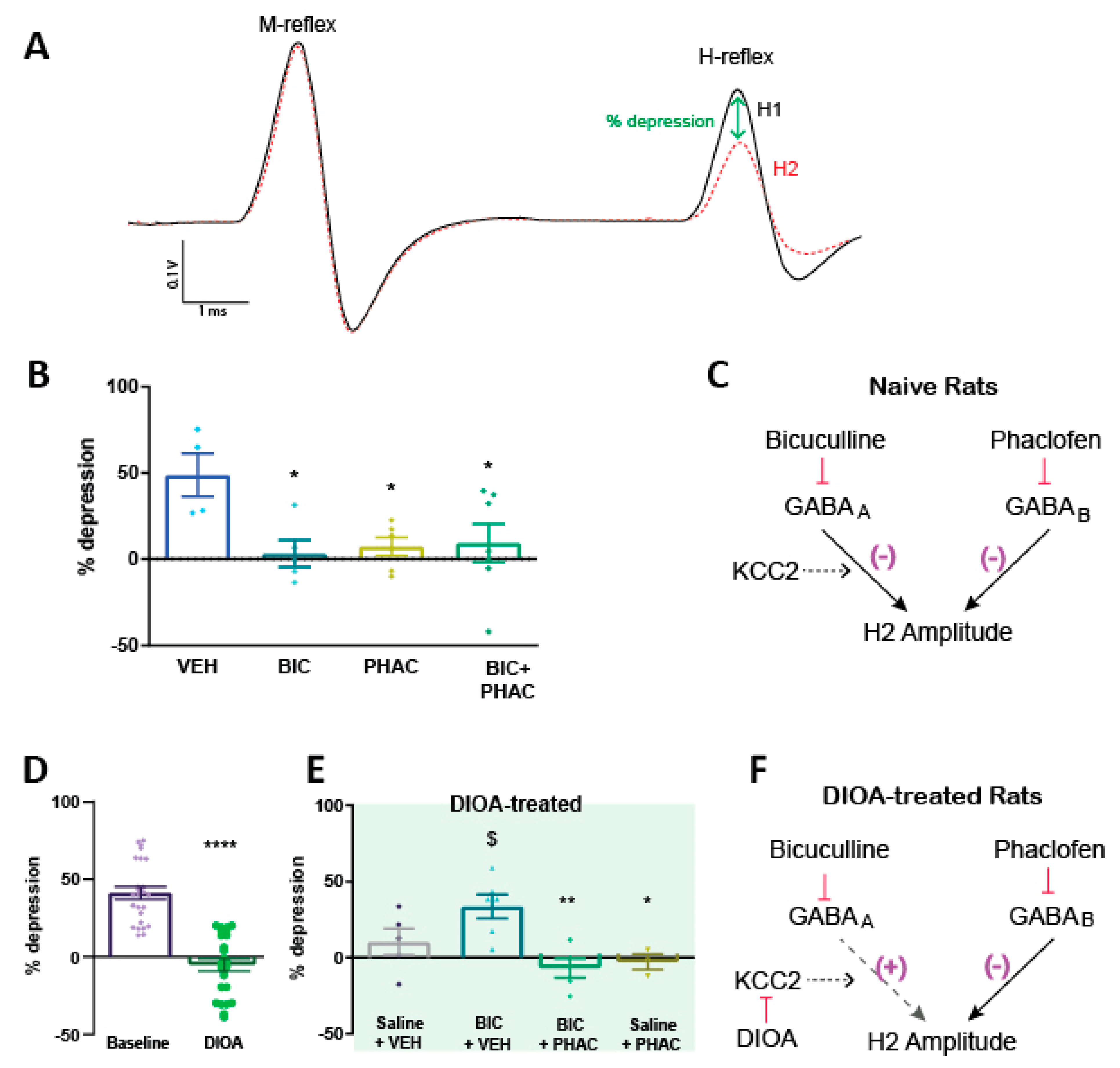 Diagnostics 11 00283 g001 Diagnostics 11 00283 g001